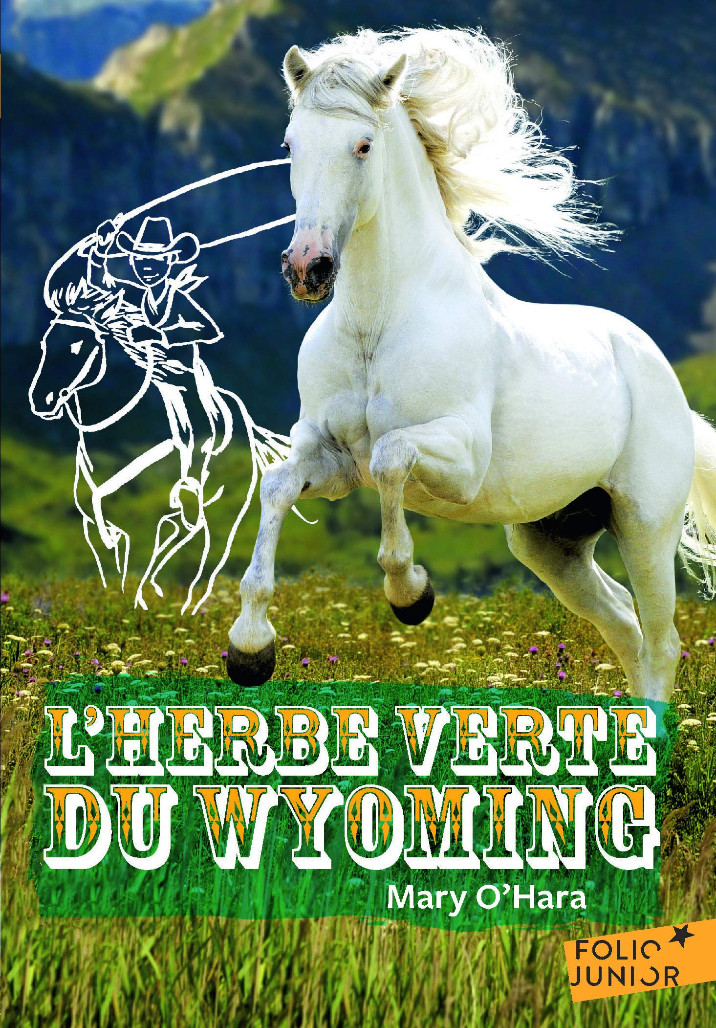 L'herbe verte du Wyoming 9782070623228