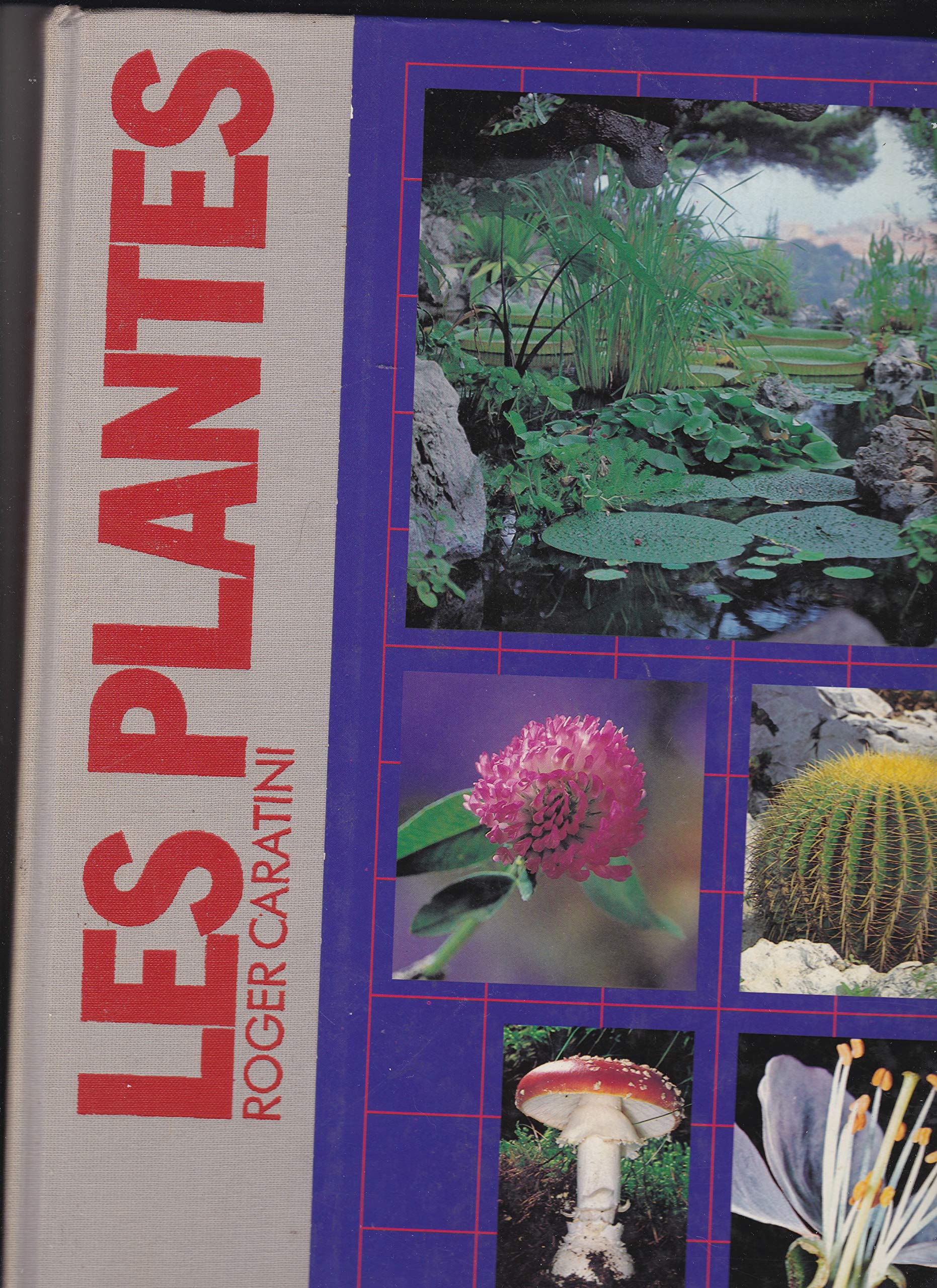 Les Plantes. Edition 1984 9782040153397