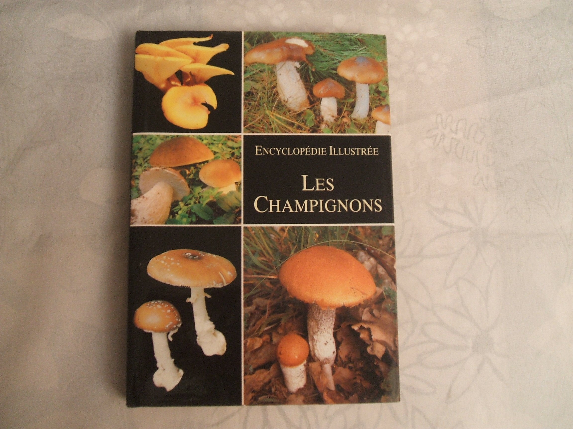 Les champignons 9782700018417