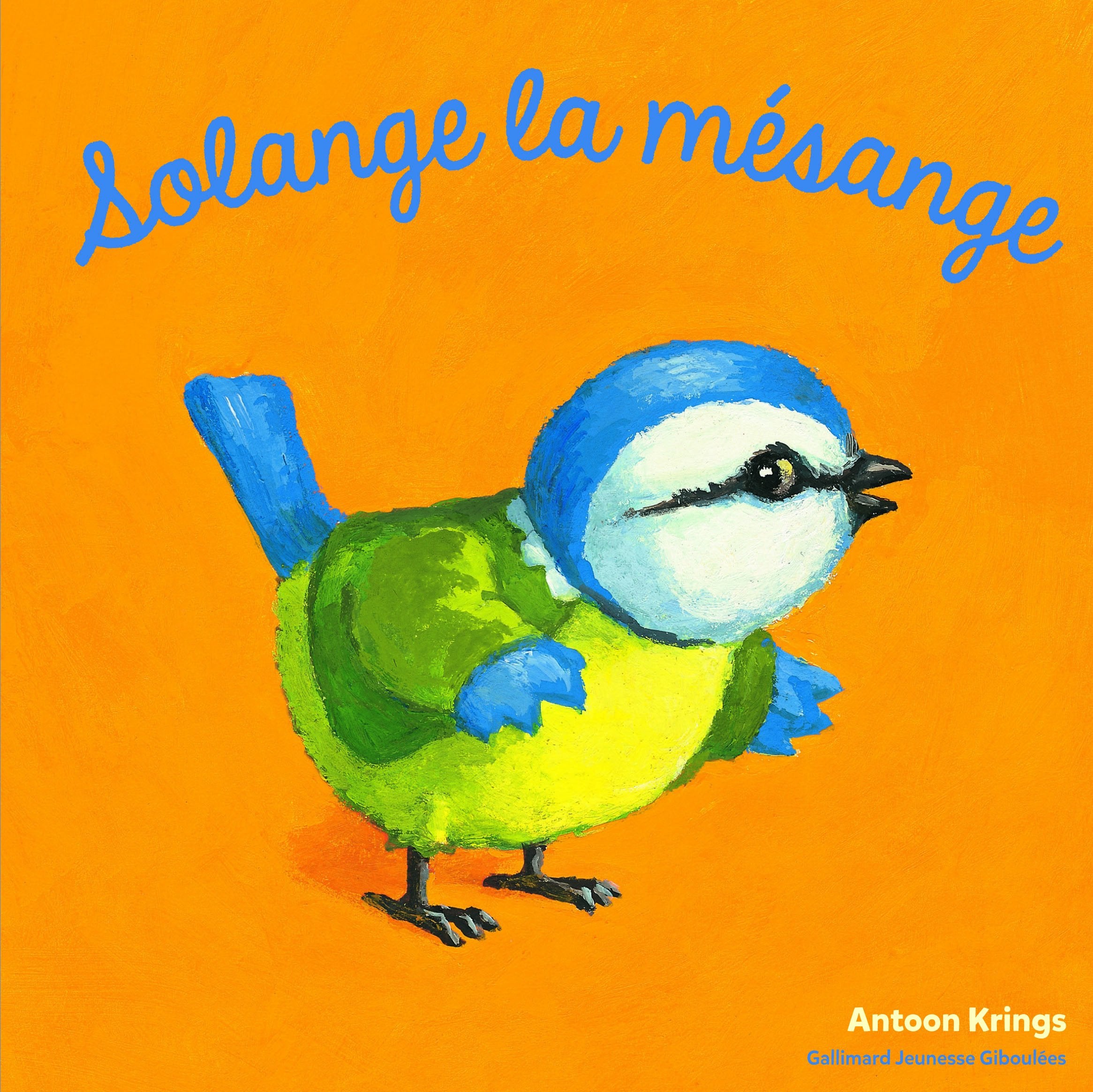 Les Drôles de Petites Bêtes - SOLANGE LA MESANGE 9782075074971