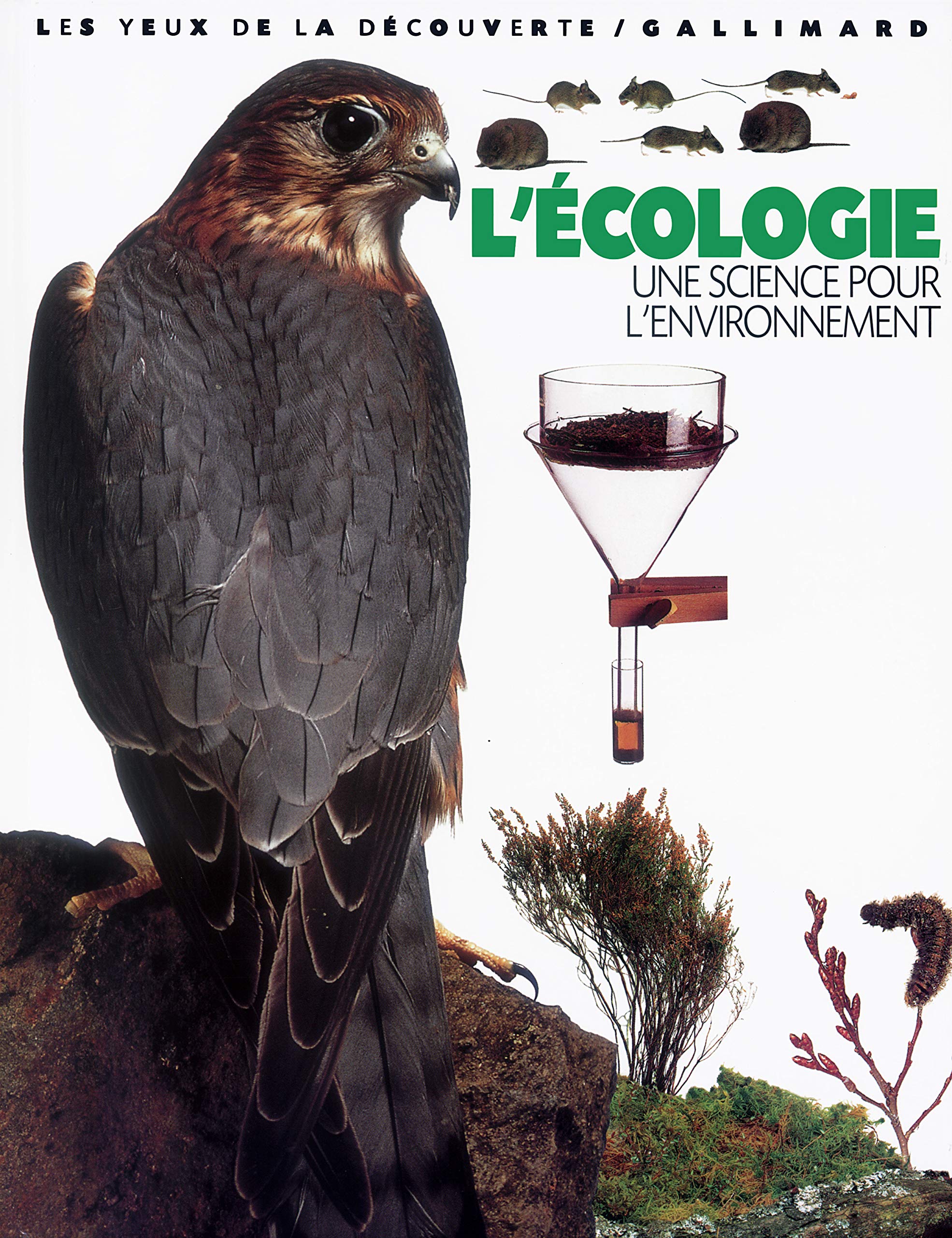 L'Ecologie : Une science pour l'environnement 9782070538201
