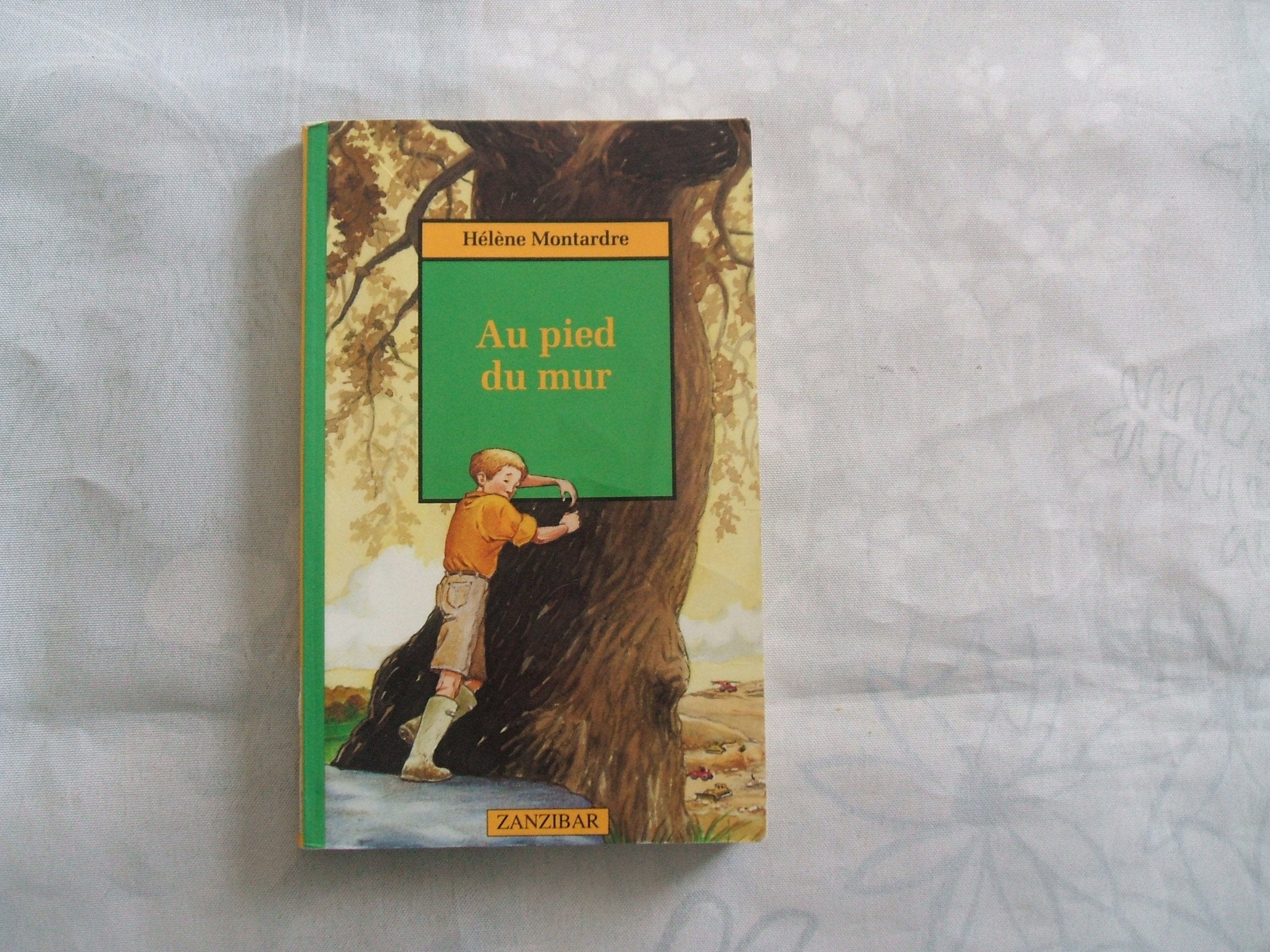 Au pied du mur 9782867267000