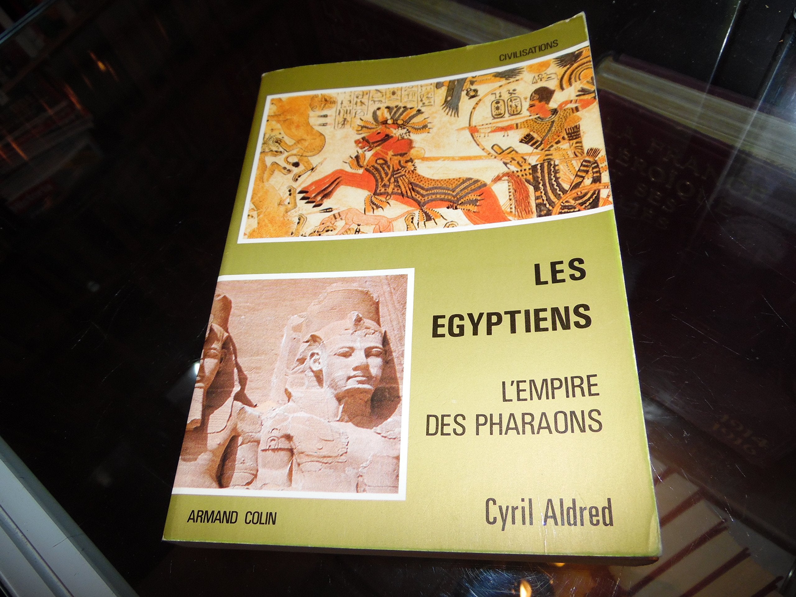 Les egyptiens / l'empire des pharaons 9782200370954