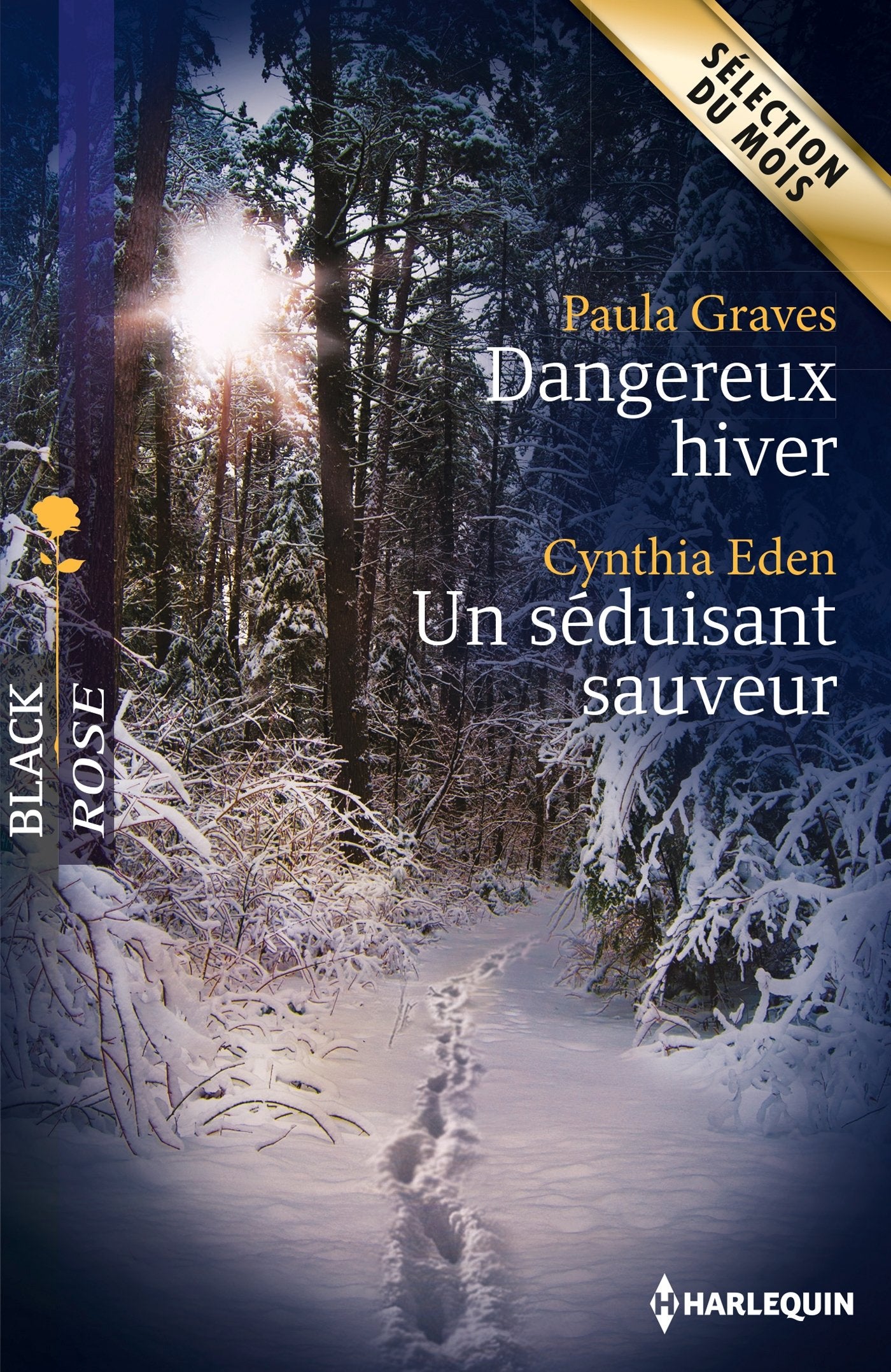 Dangereux hiver ; Un séduisant sauveur 9782280330237