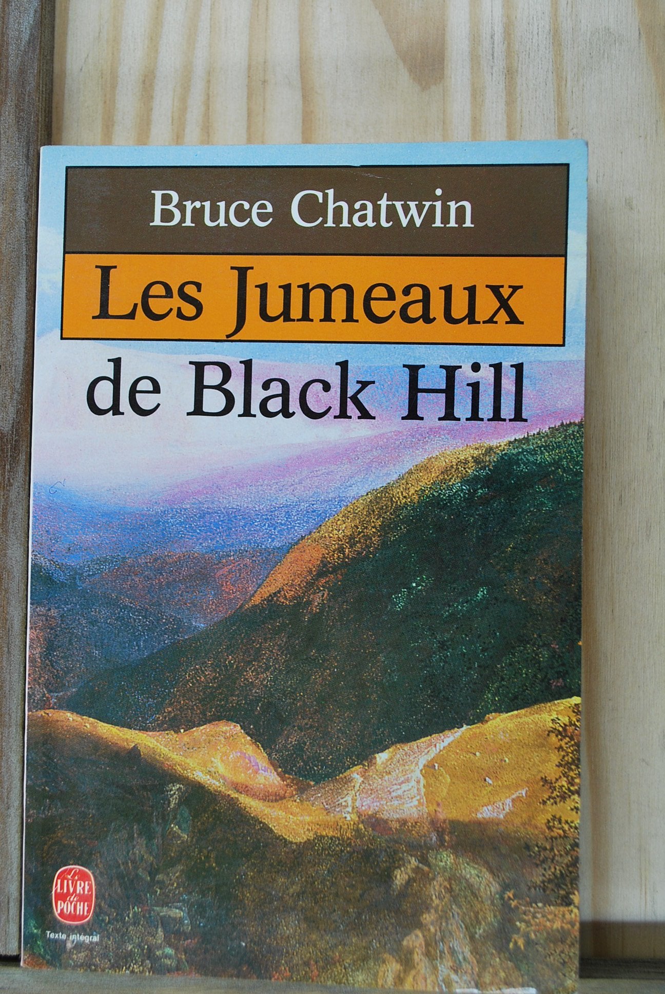 LES JUMEAUX DE BLACK-HILL 9782253036661