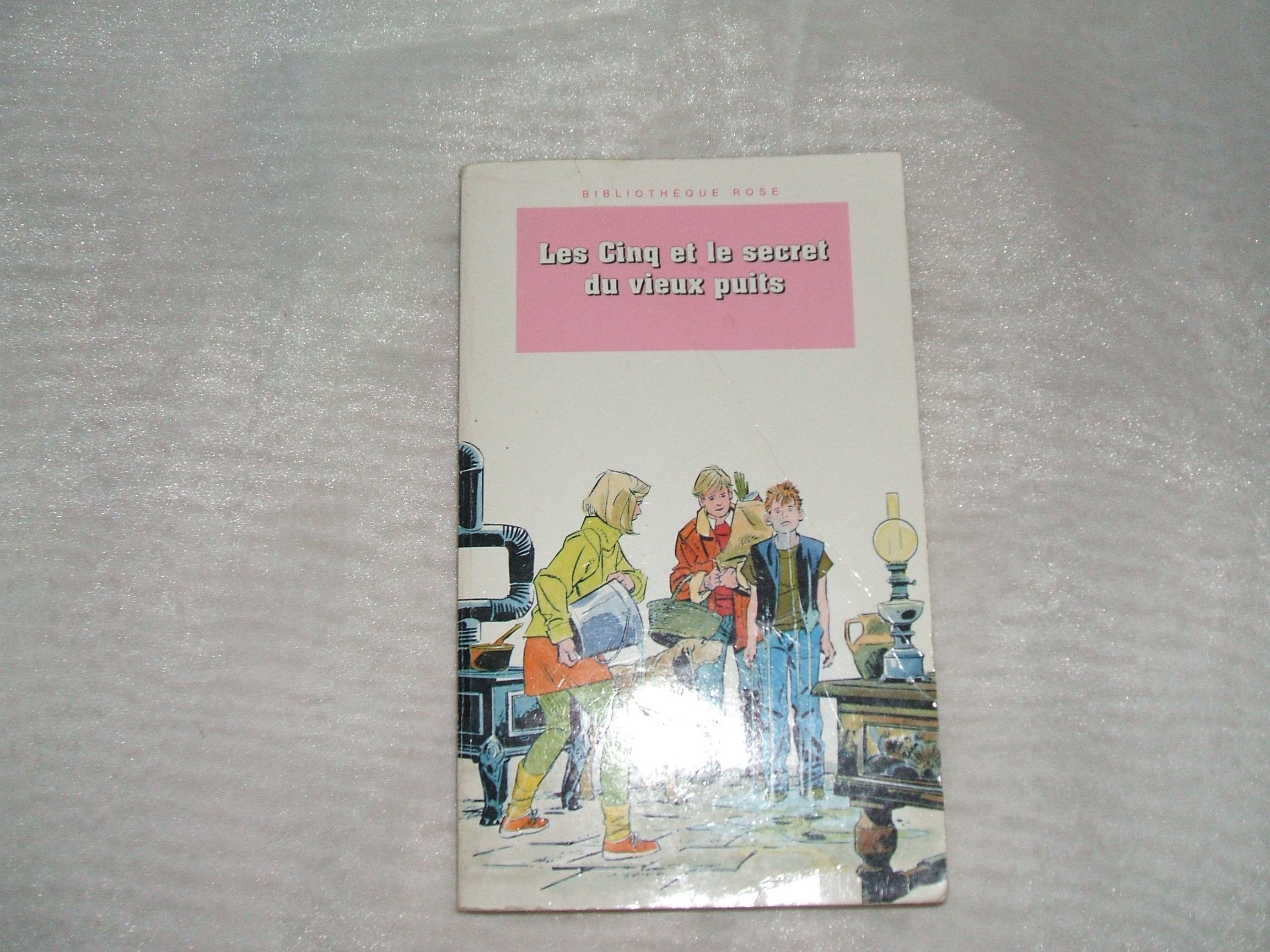 Les Cinq et le secret du vieux puits: Une nouvelle aventure des personnages créés par Enid Blyton 9782012095045