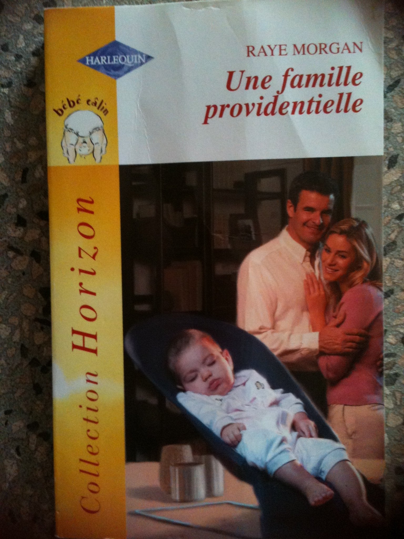 Une famille providentielle 9782280845946