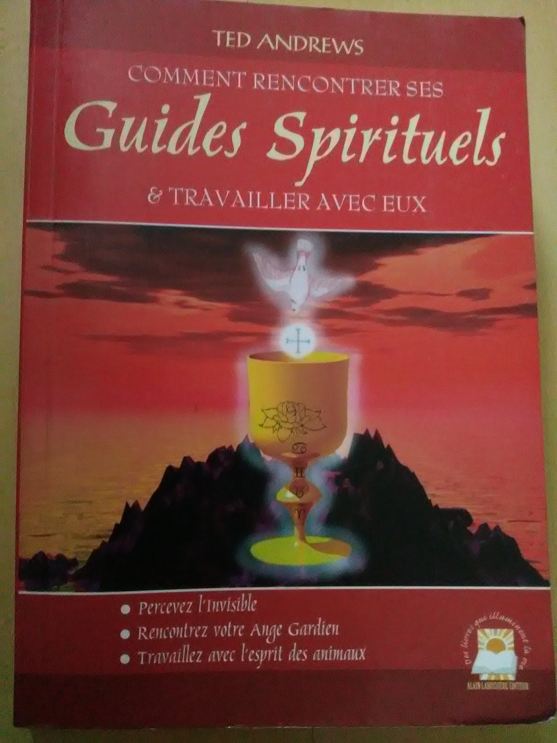 Comment rencontrer vos guides spirituels et travailler avec eux 9782911456107