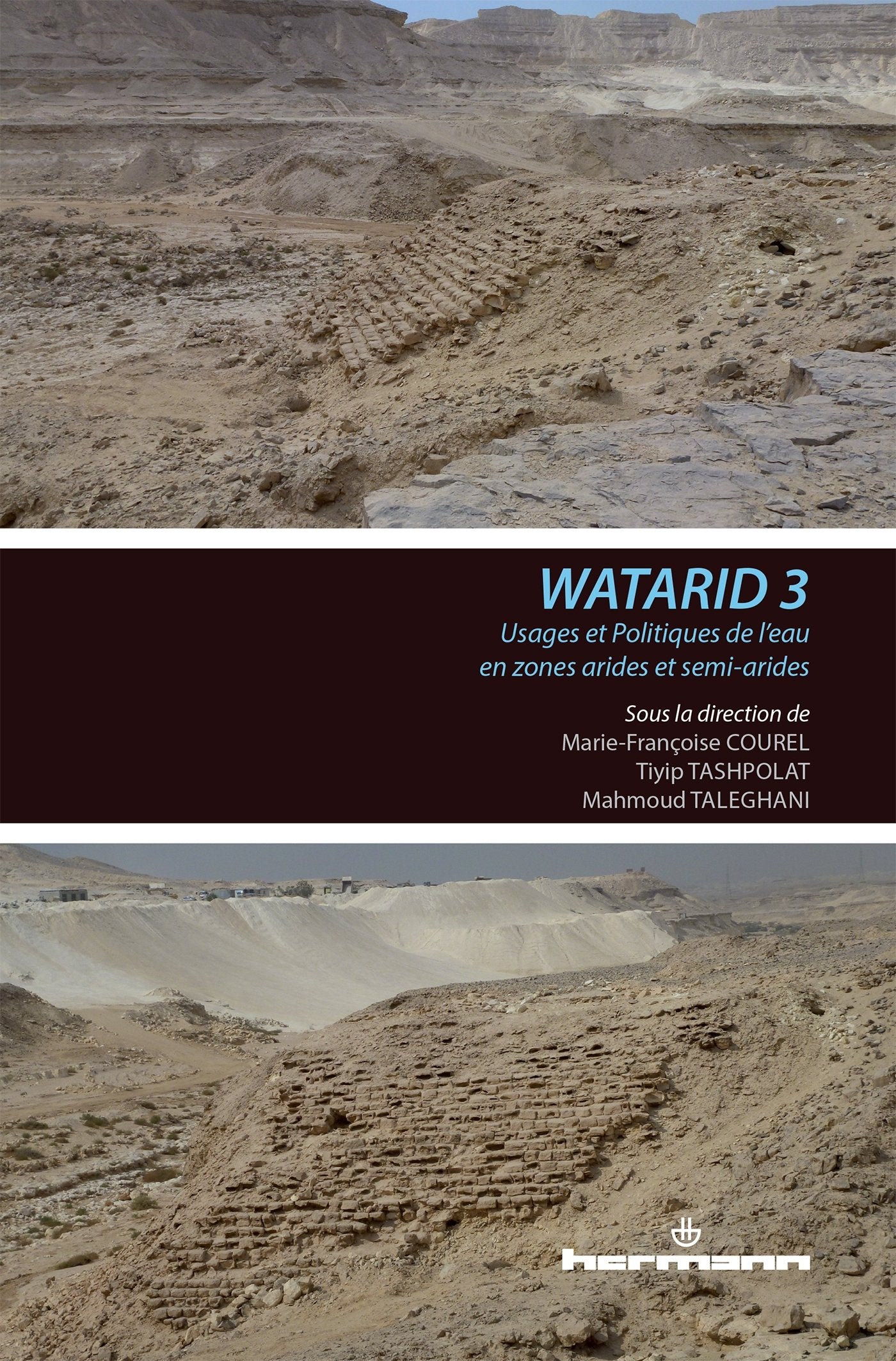 Usages et politiques de l'eau en zones arides et semi-arides: Conférence internationale Watarid 3 9782705687458
