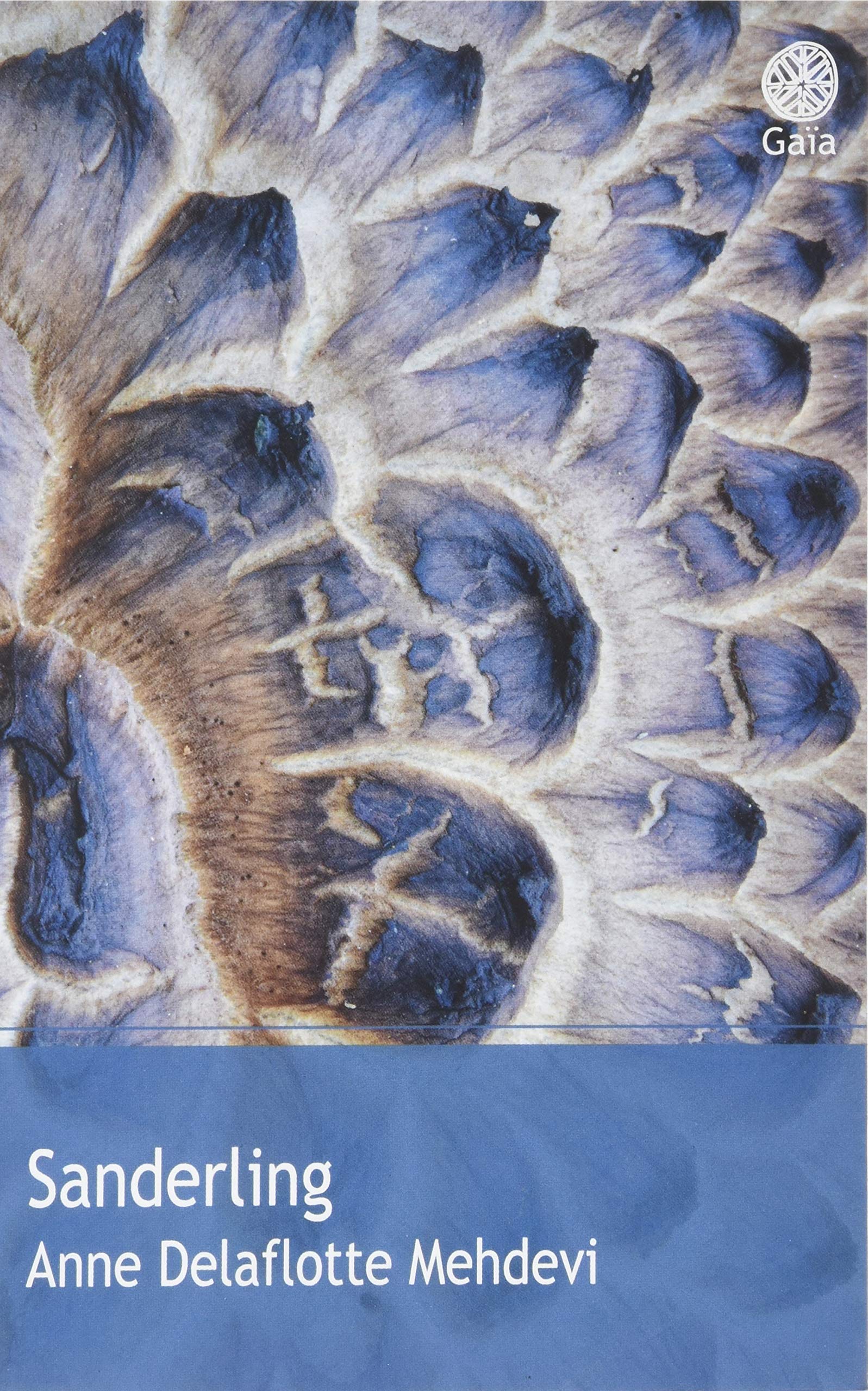Sanderling 9782847208832