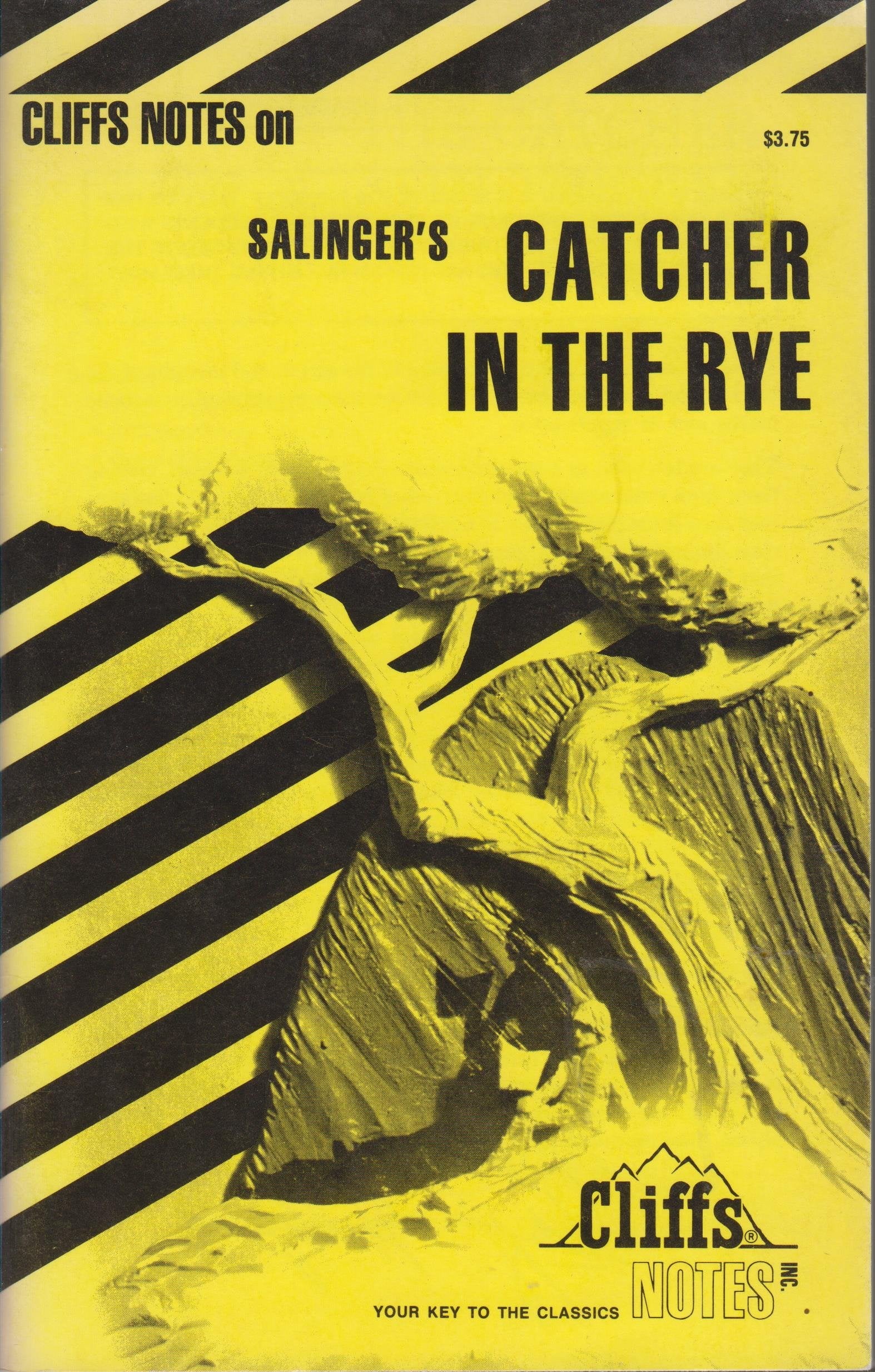 The Catcher In The Rye 9780822003014