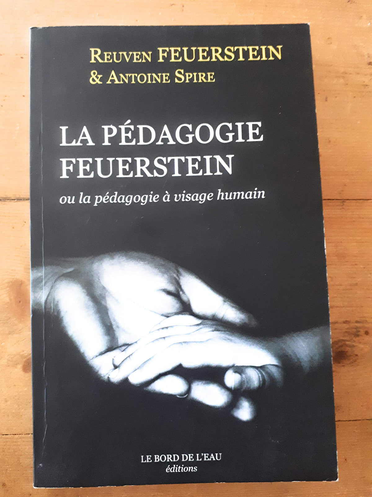 La pédagogie Feuerstein: Ou la pédagogie à visage huMain 9782356870292