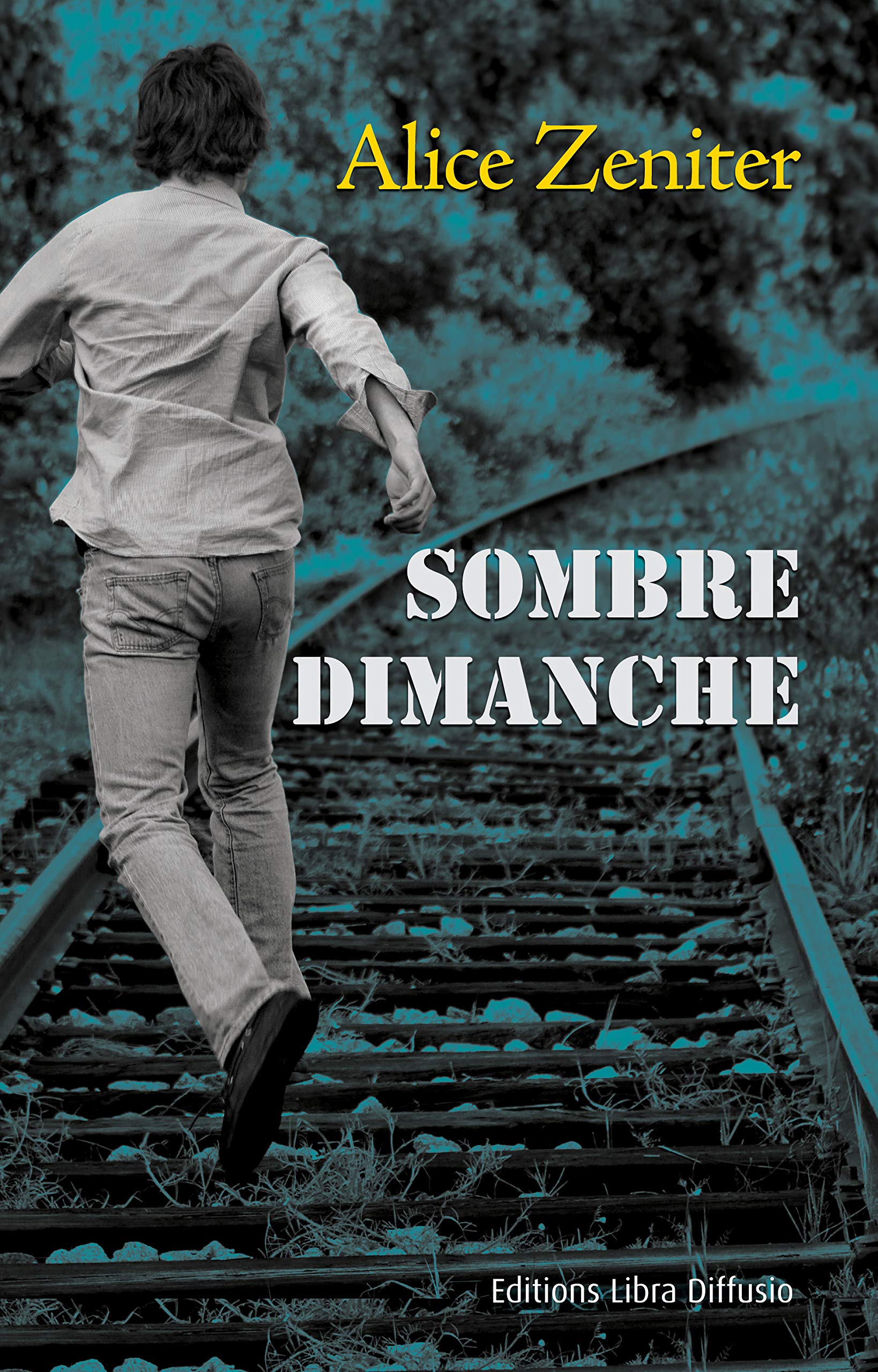 Sombre dimanche 9782844926579