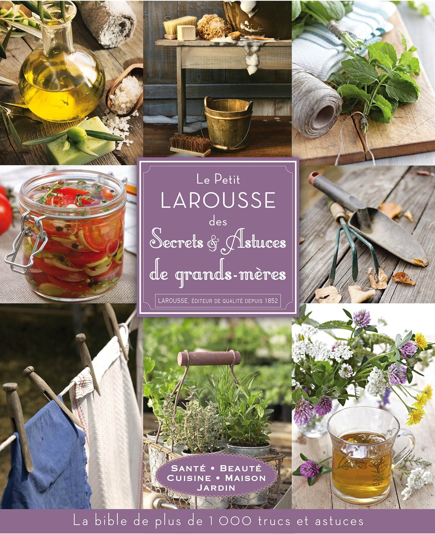 Le Petit Larousse des secrets et astuces de grands-mères 9782035887009