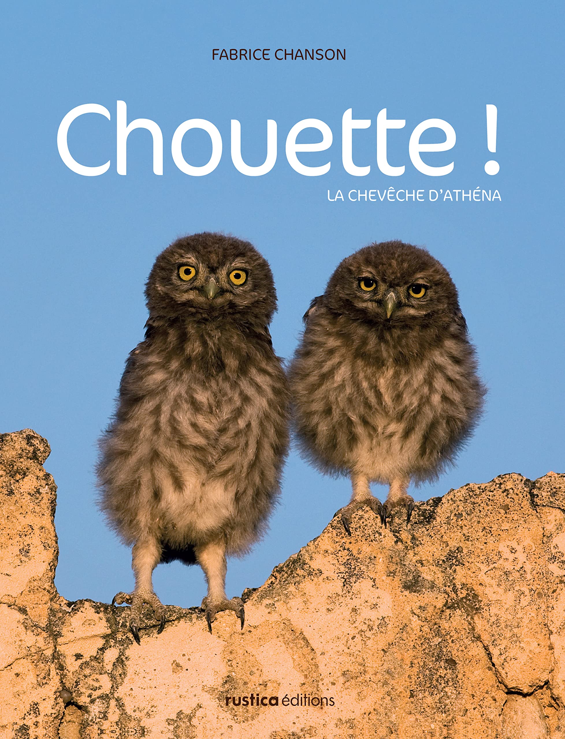 Chouette !: La chevêche d'Athéna 9782815302715