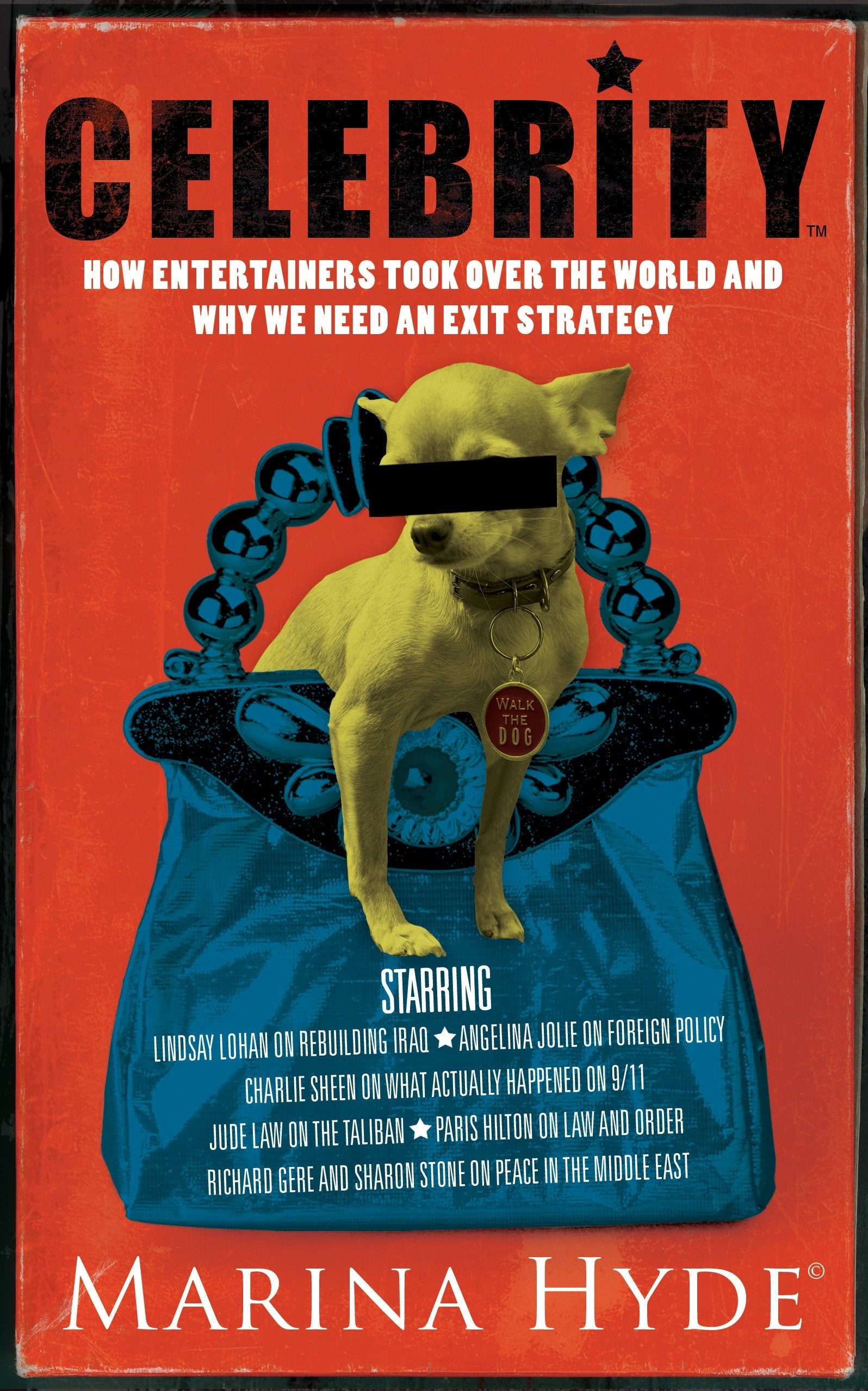 Celebrity: How Entertainers Took Over The World and Why We Need an Exit Strategy 9781846552595