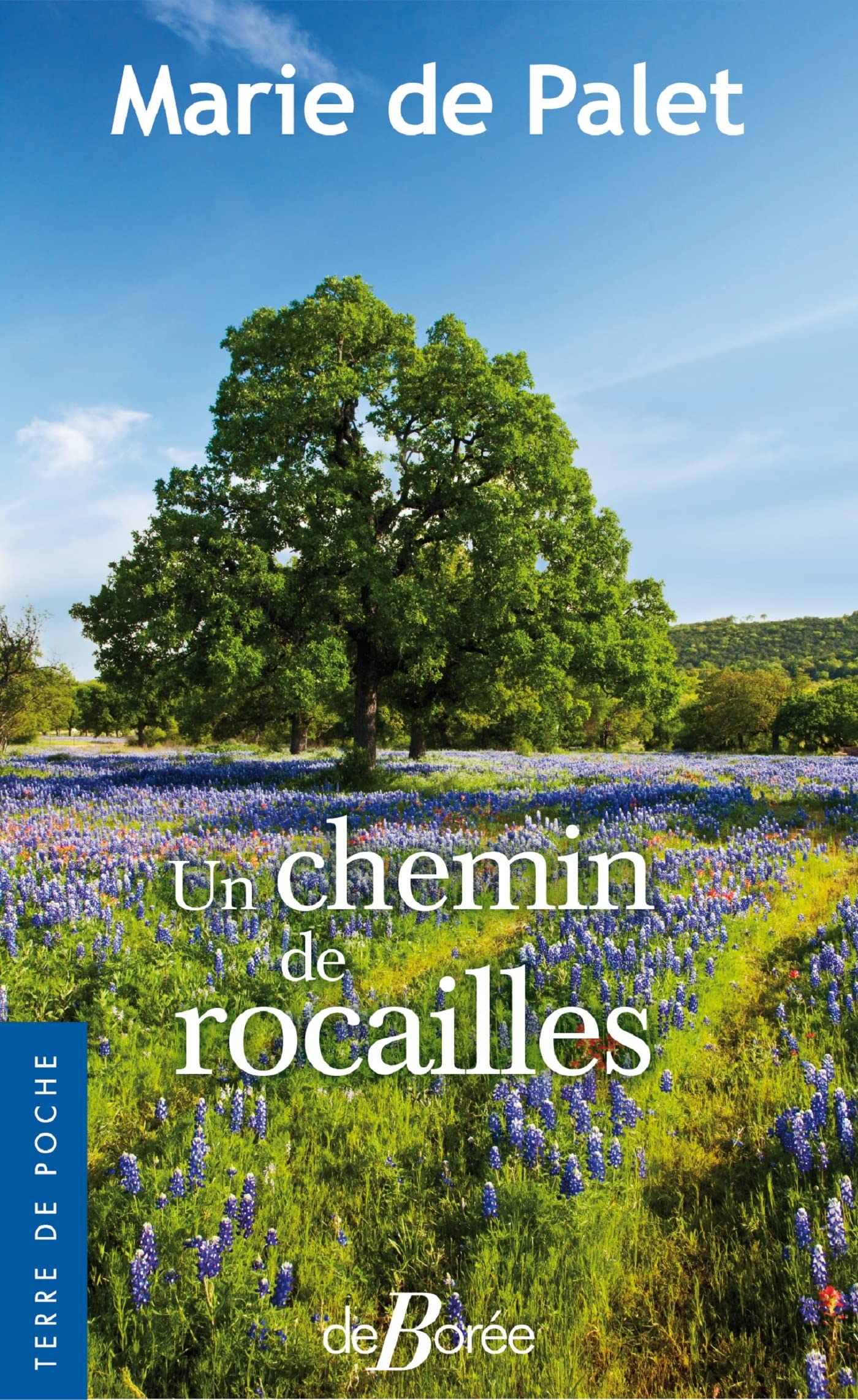 Un chemin de rocailles 9782812932175