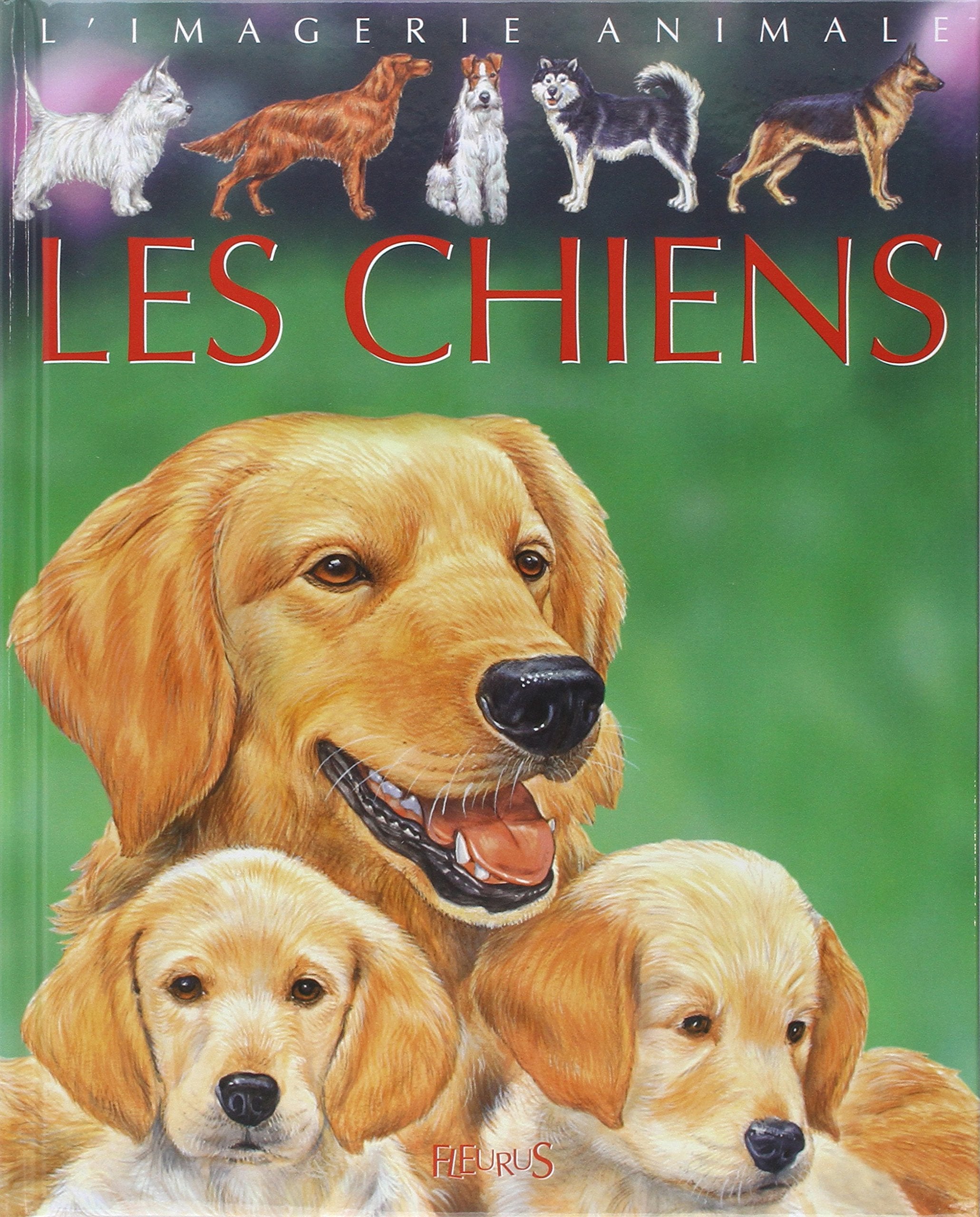 Les Chiens : Pour les faire connaître aux enfants 9782215066972