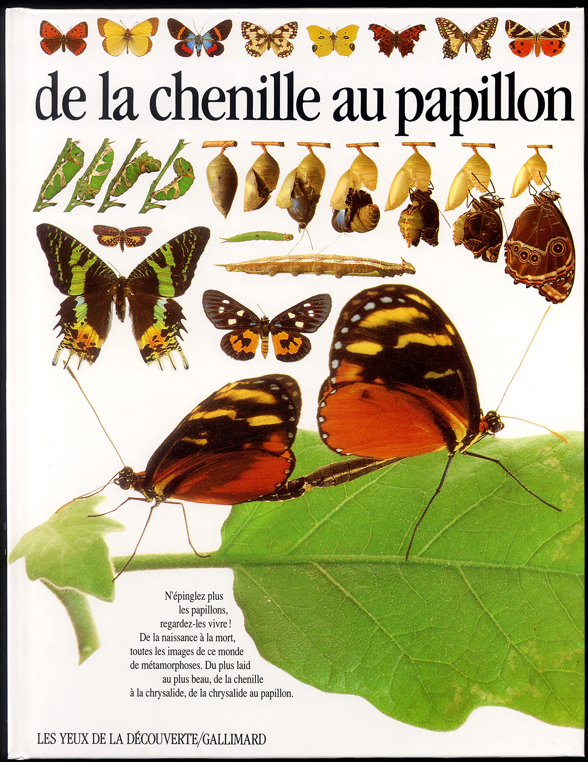 DE LA CHENILLE AU PAPILLON 9782070564279