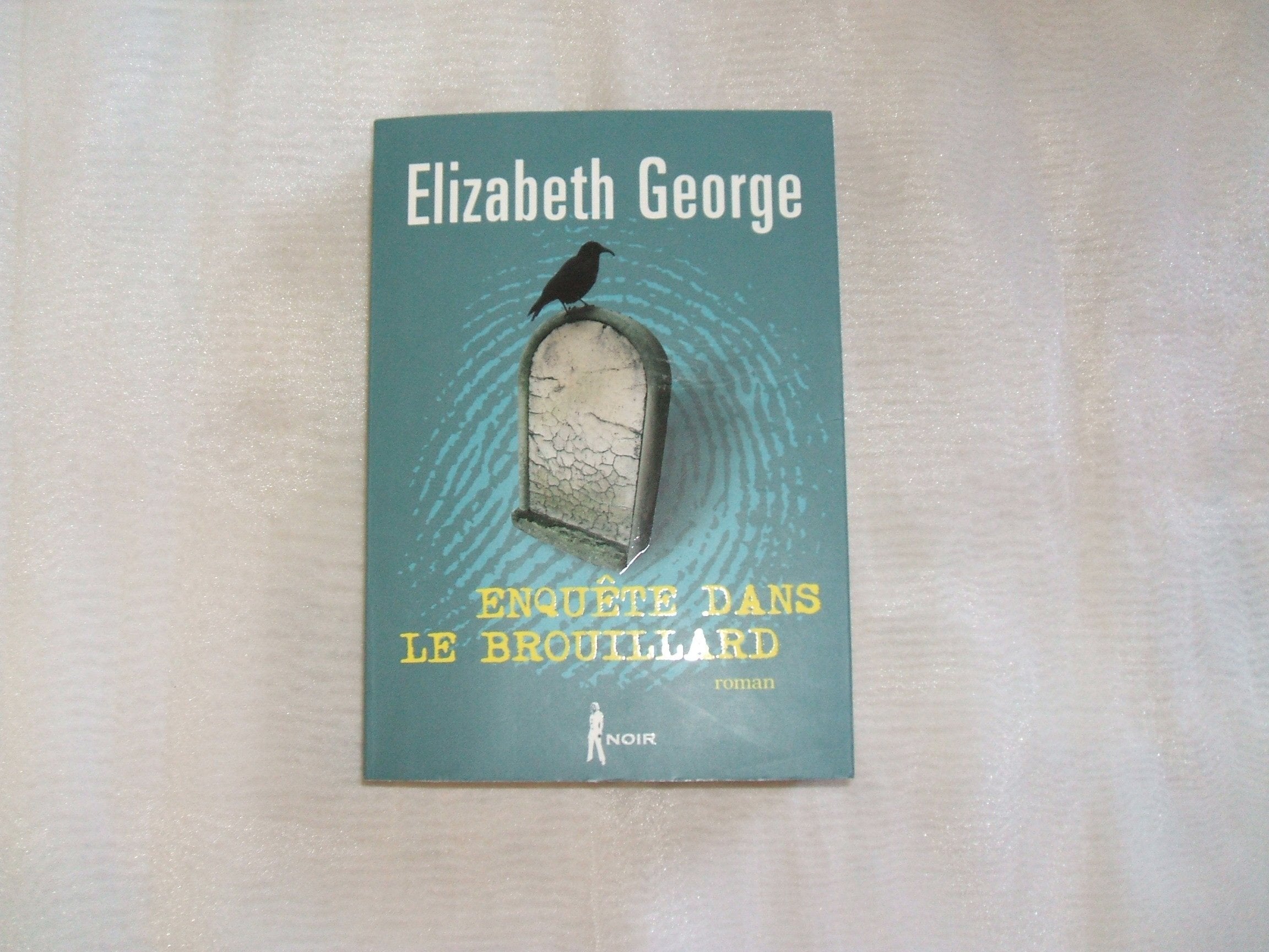 ENQUETE DANS LE BROUILLARD 9782298008951