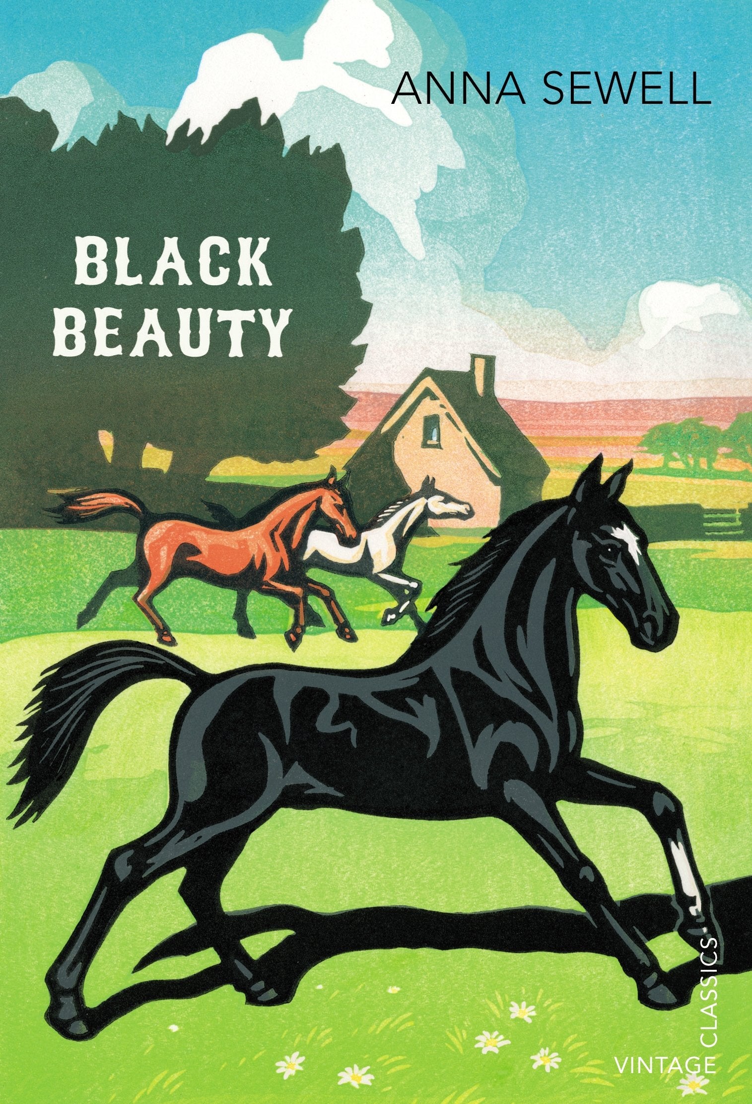 Black Beauty 9780099572930