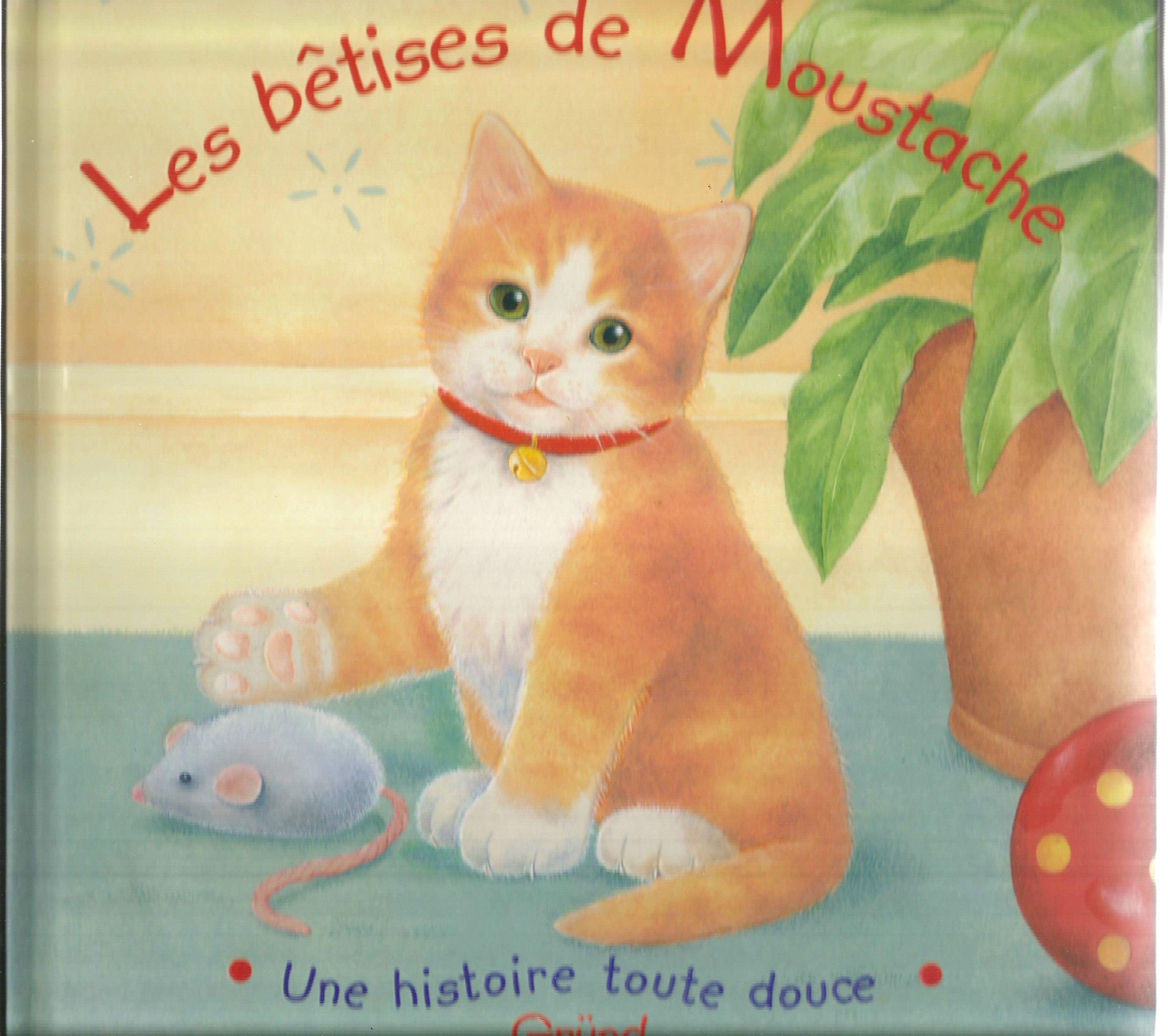 Les bêtises de Moustache 9782700010220