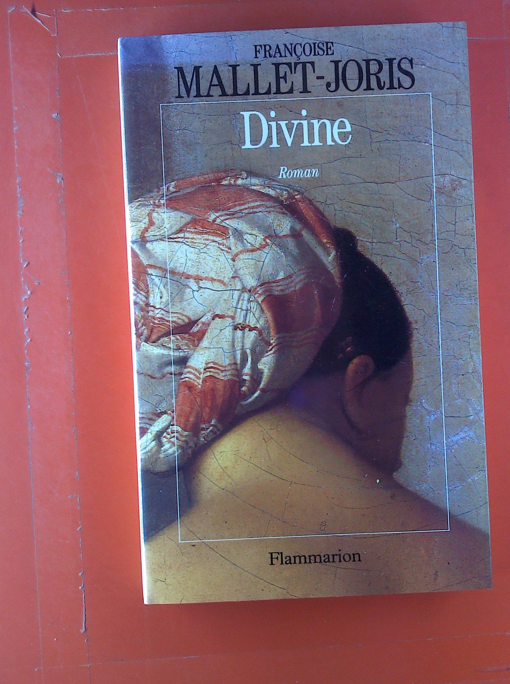 Divine 9782080666543