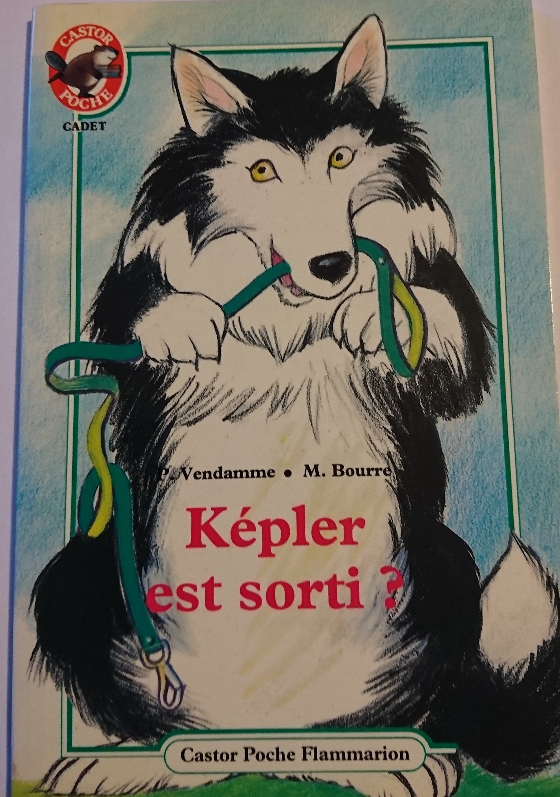 Képler est sorti ? 9782081628762