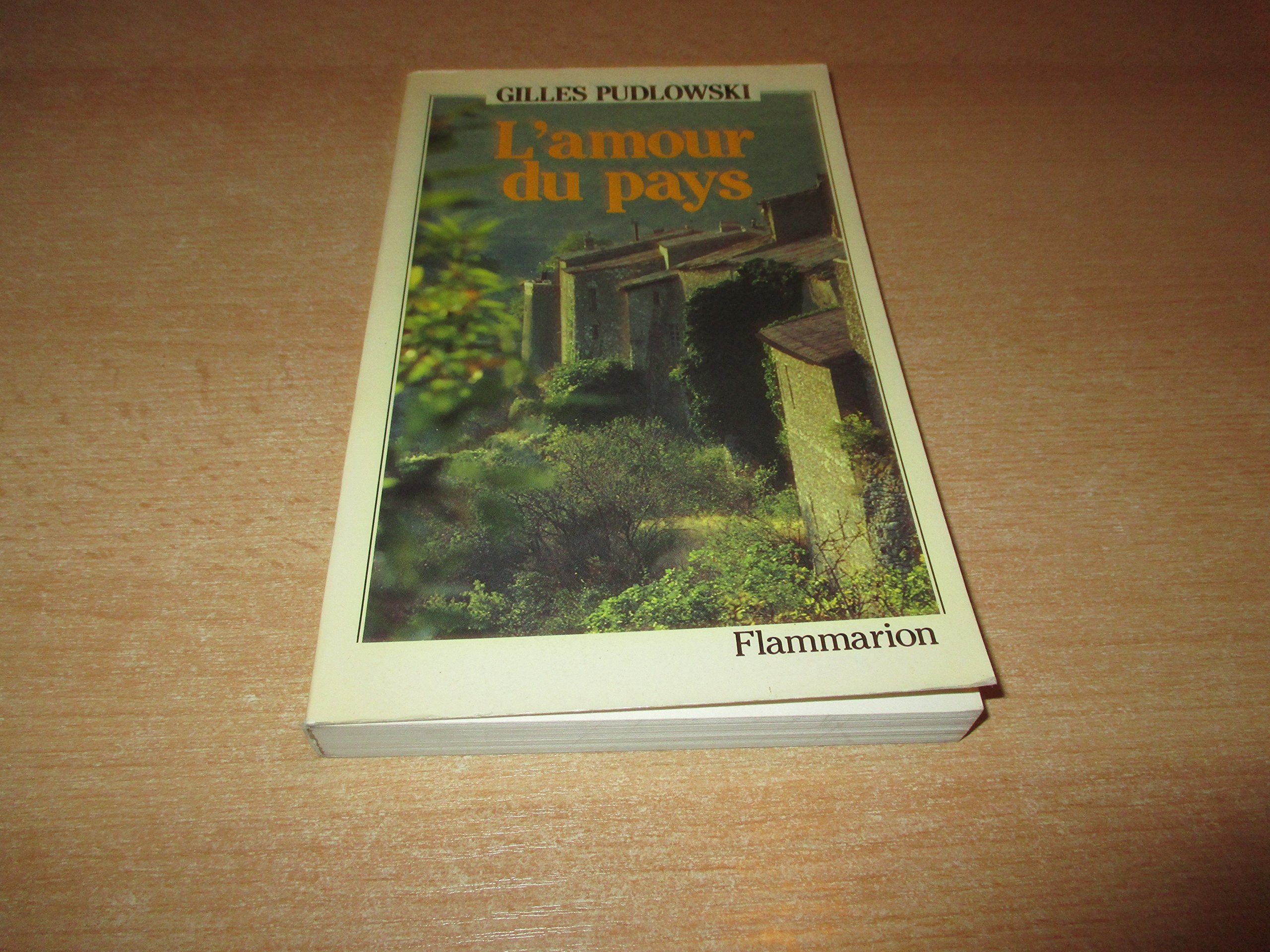 L'Amour du pays 9782080648907