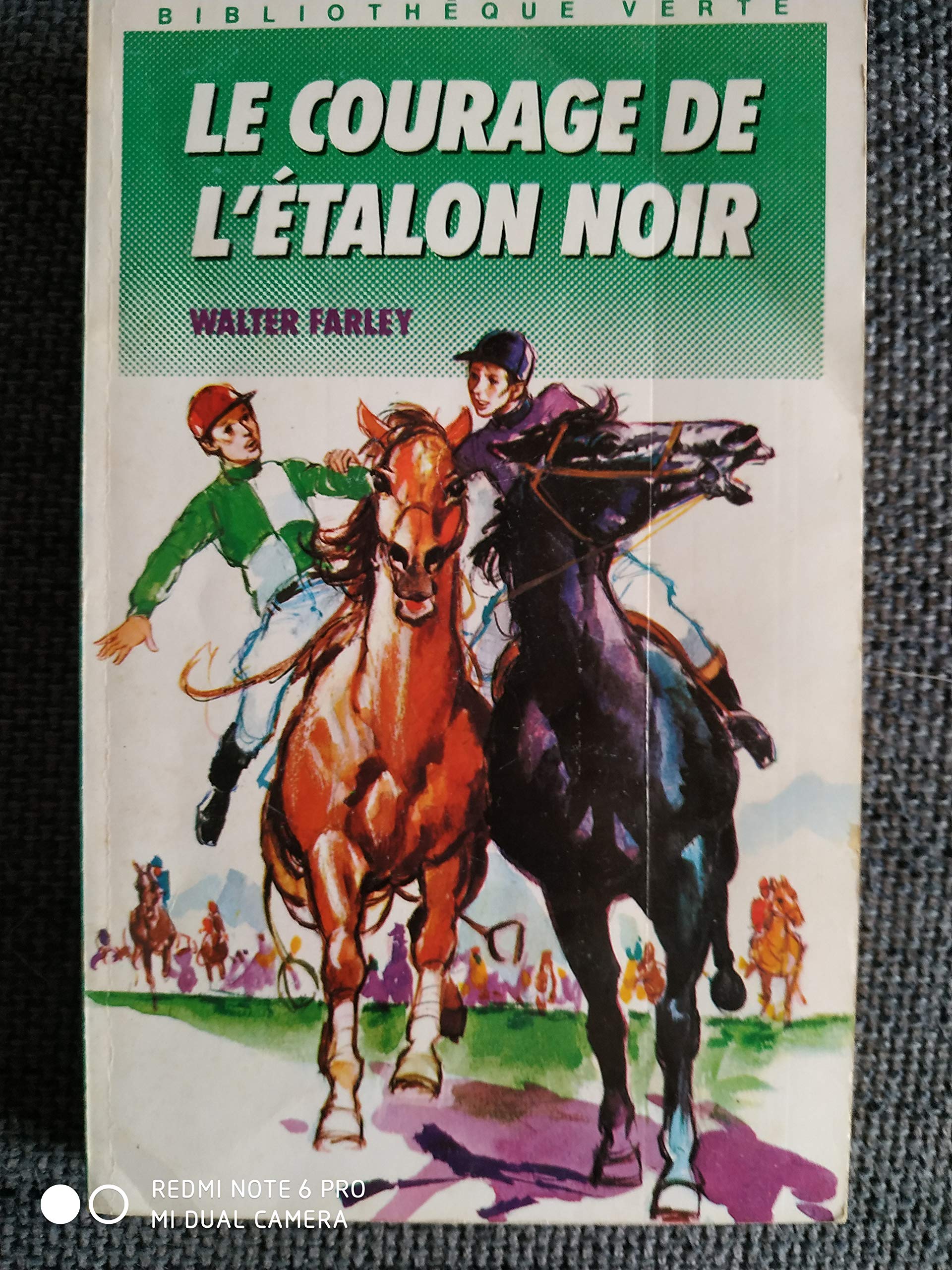 Le Courage de l'étalon noir (Bibliothèque verte) 9782010142826