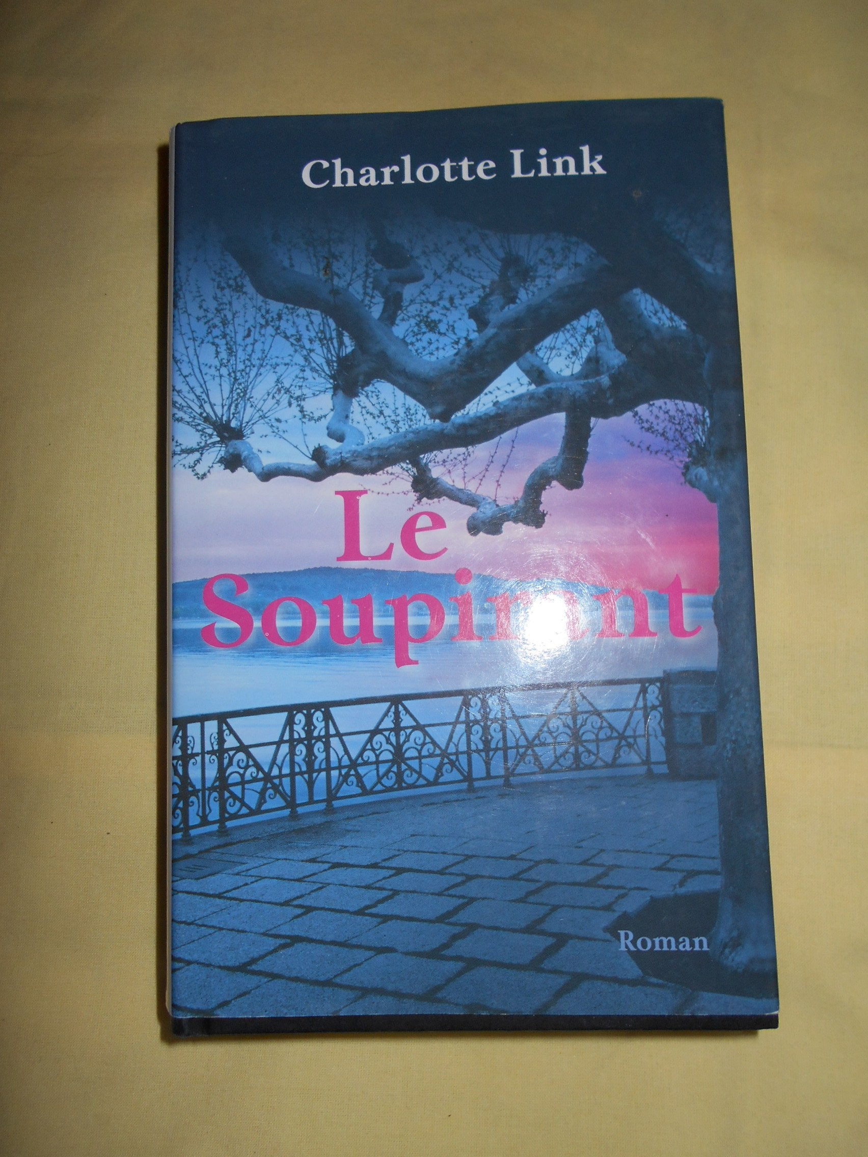 Le soupirant 9782298031027