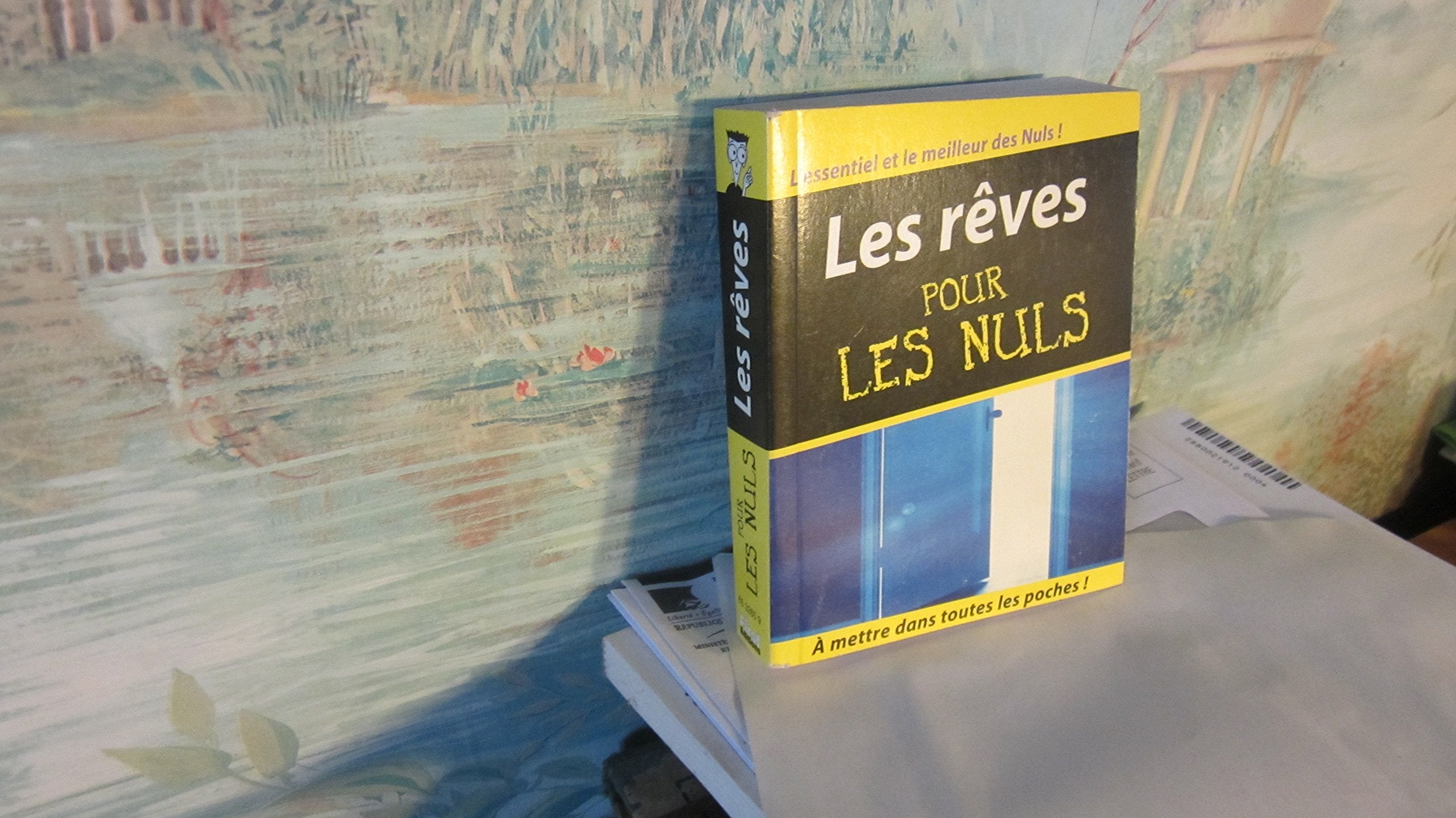 Mini Pocket : Les Rêves pour les Nuls 9782876916562