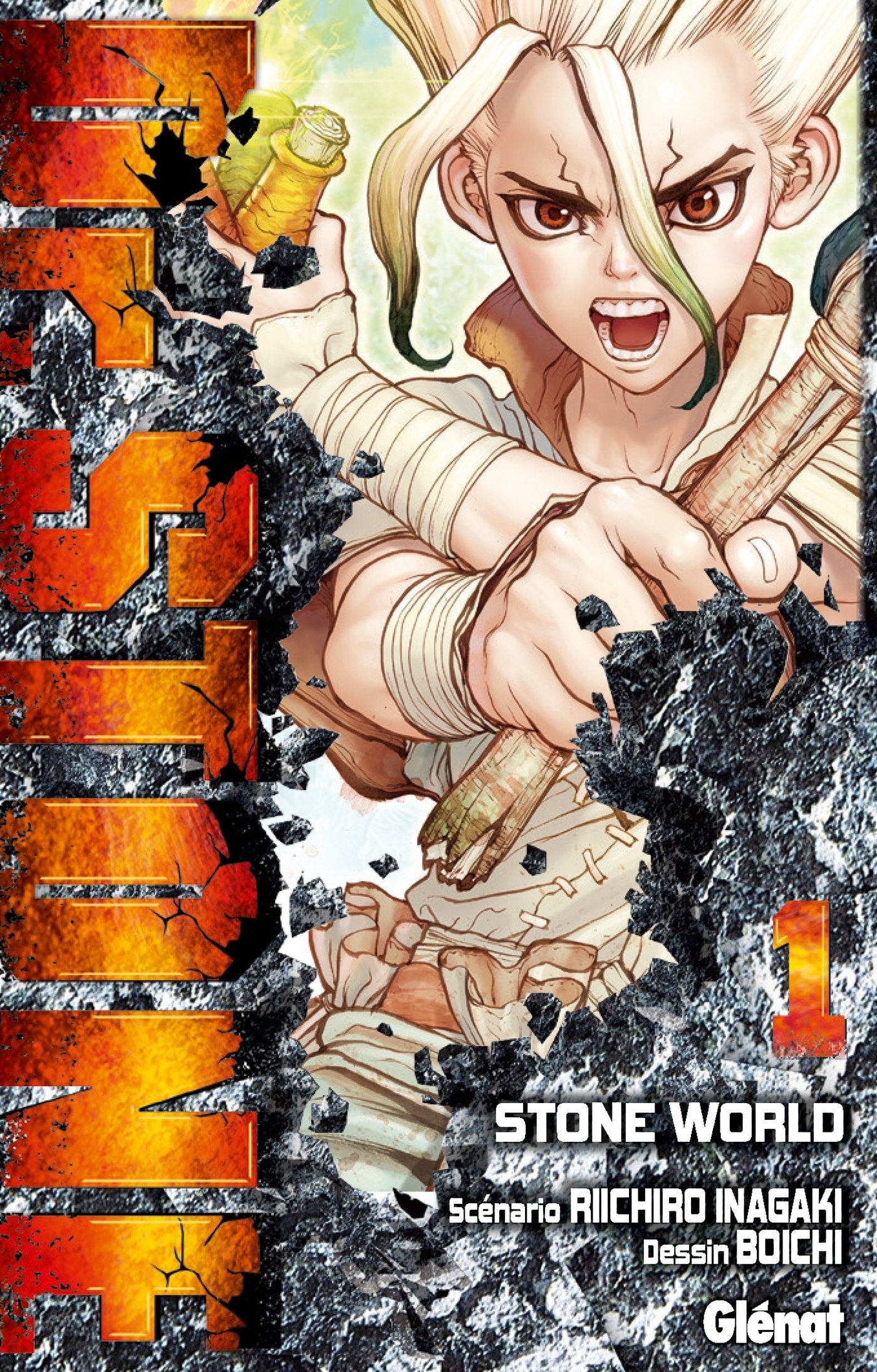 Dr. Stone - Tome 01: Stone World 9782344028032