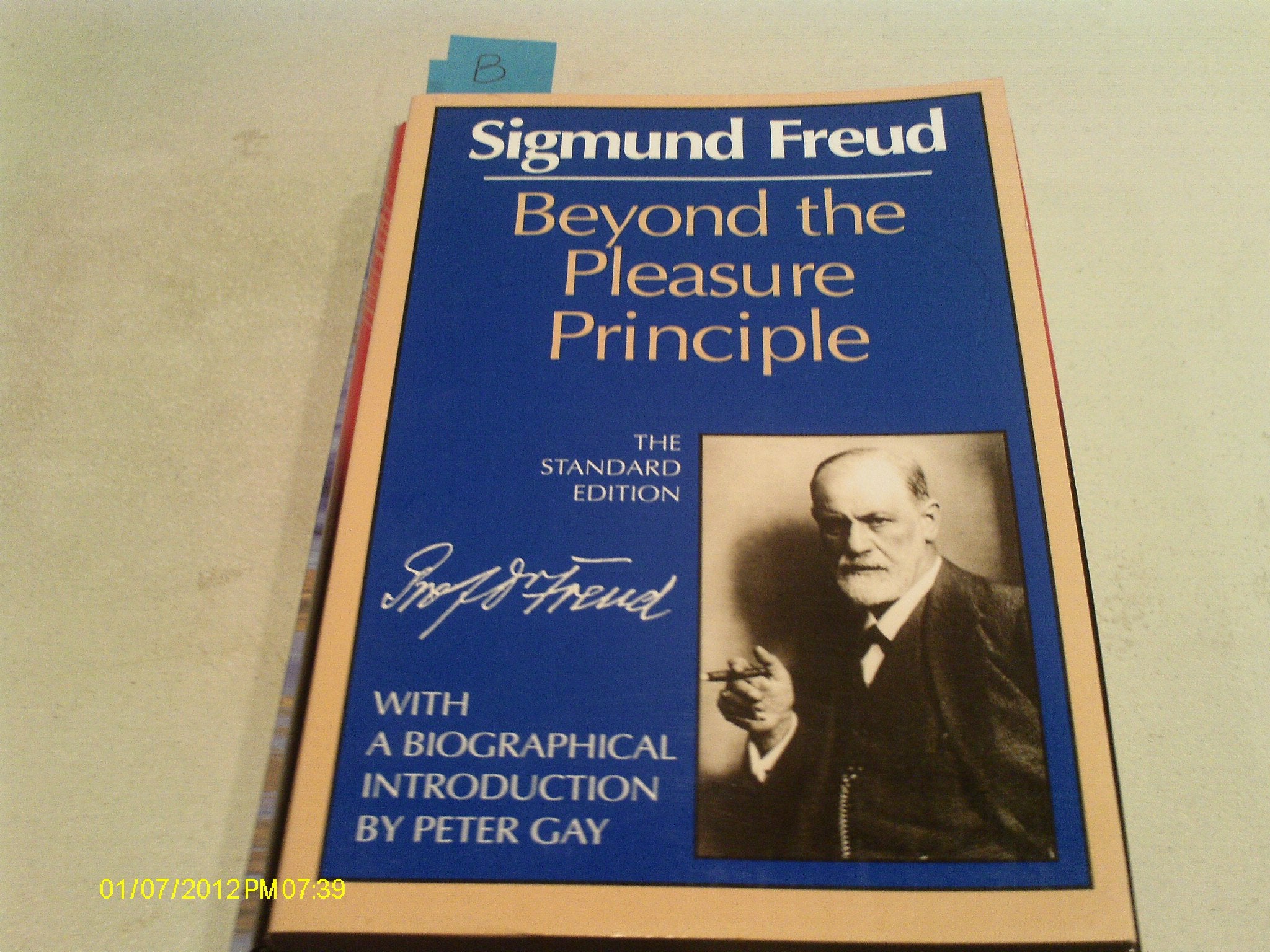 Beyond the Pleasure Principle 9780393007695