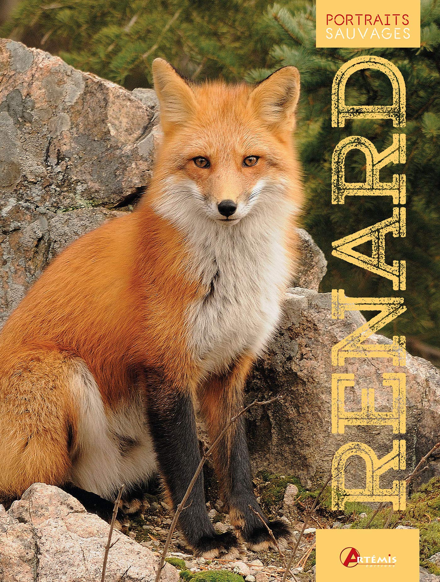 Renard 9782816017717