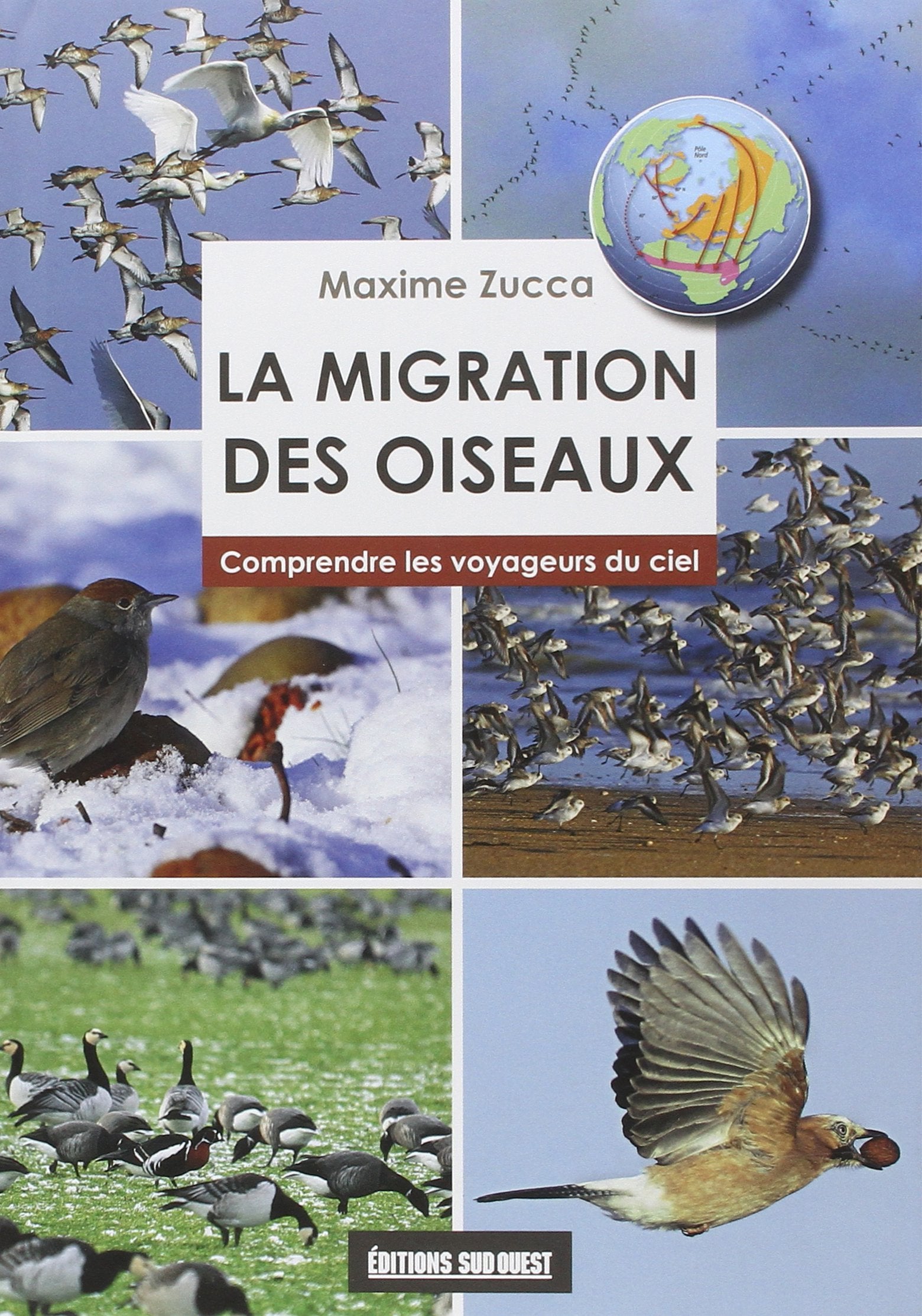 Migration Des Oiseaux (La) 9782817704067
