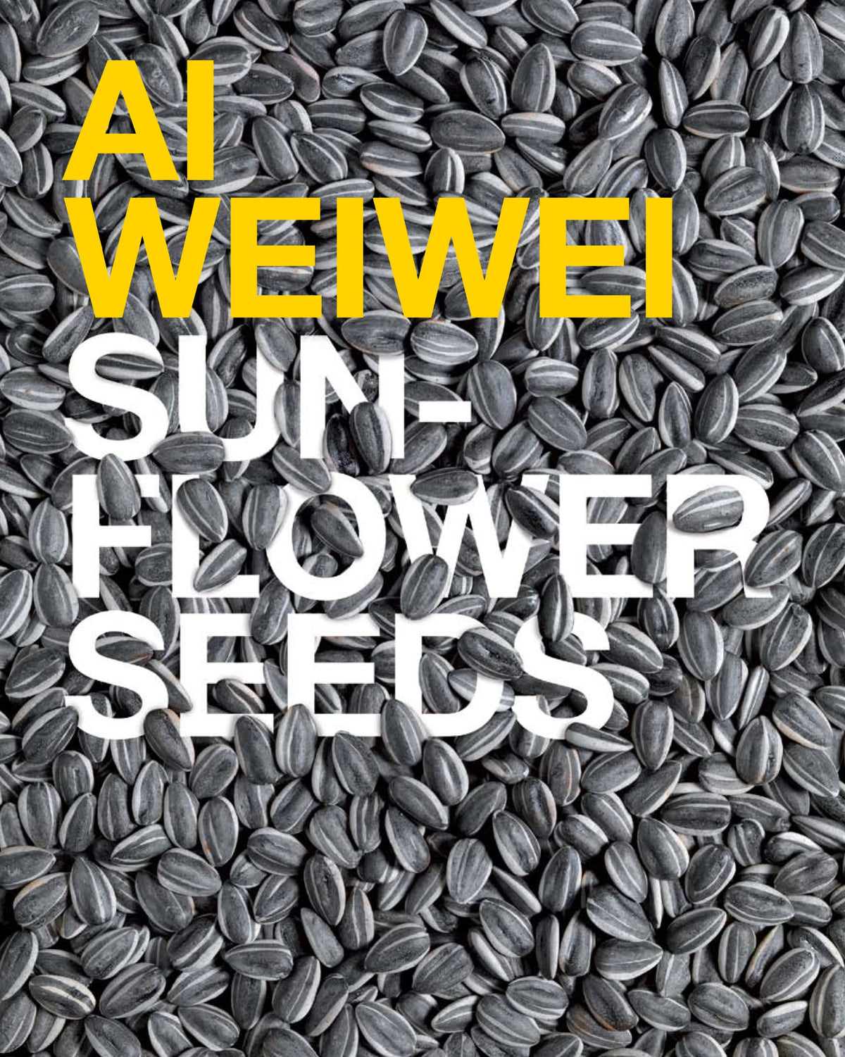Ai Weiwei Sunflower Seeds (The Unilever Series) /anglais 9781854378842