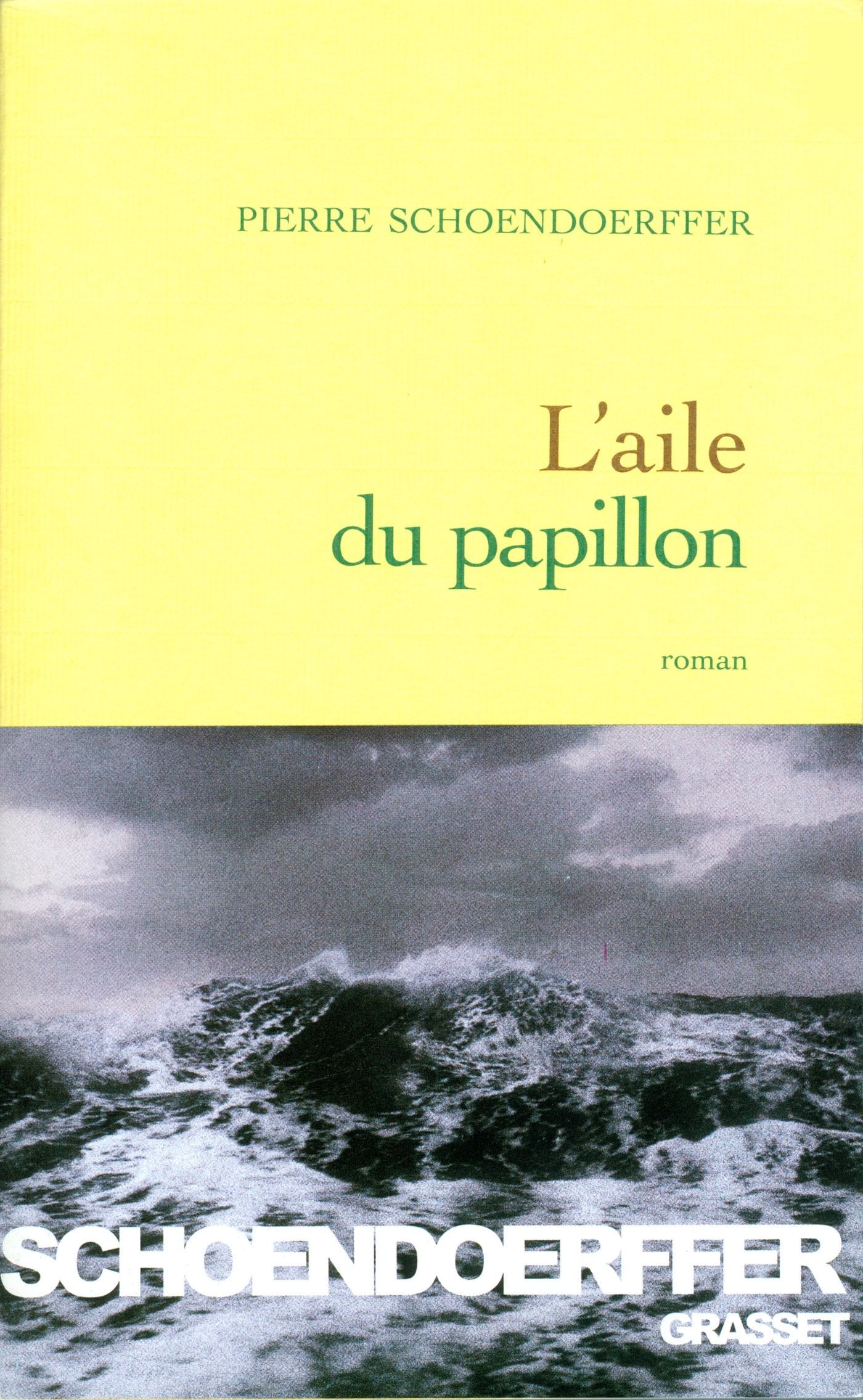 L'aile du papillon 9782702882610