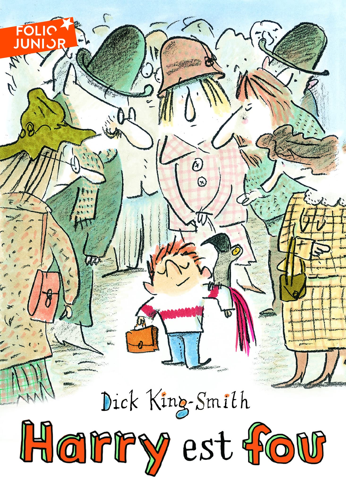 HARRY EST FOU 9782070619429