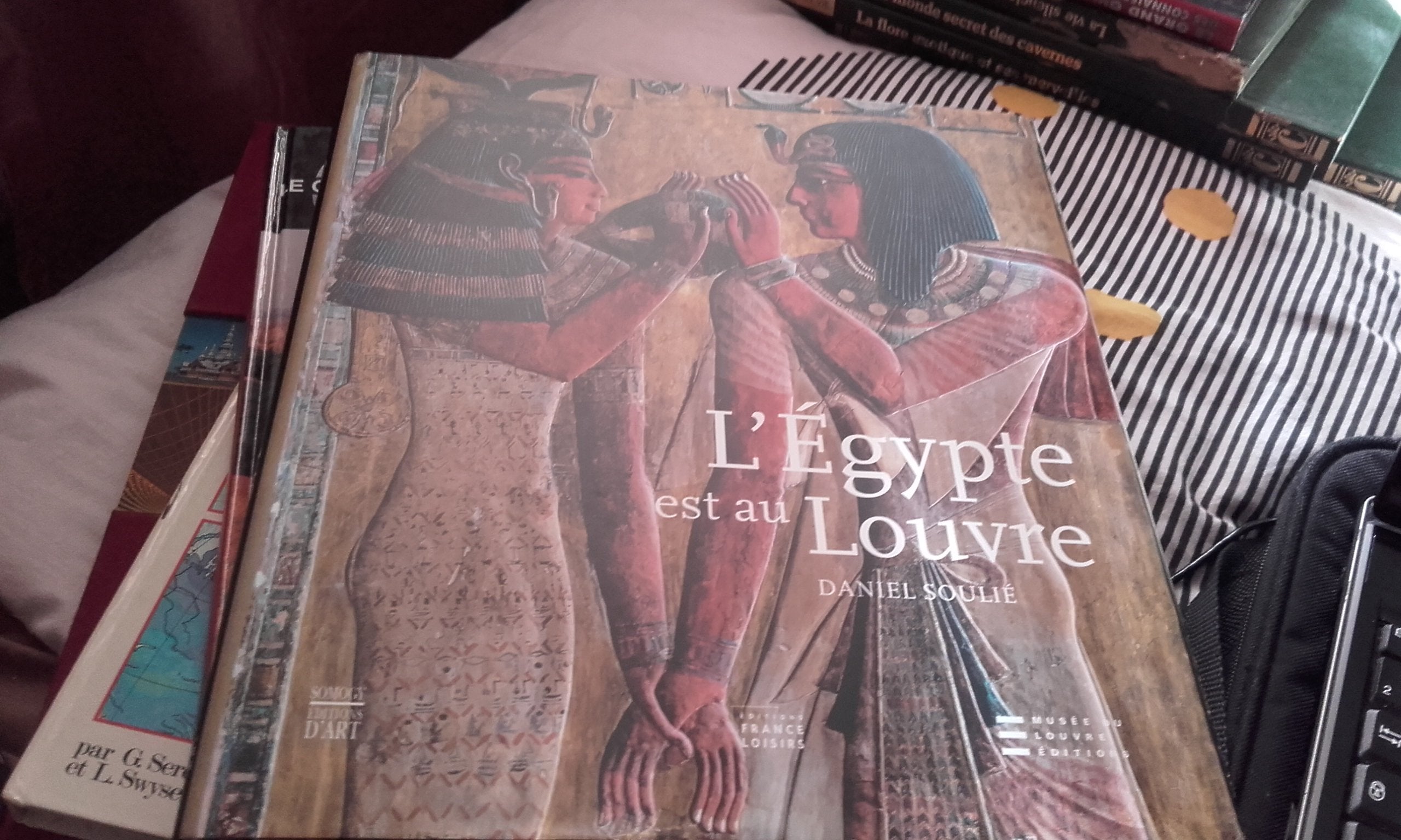 L'Egypte est au Louvre 9782757200018