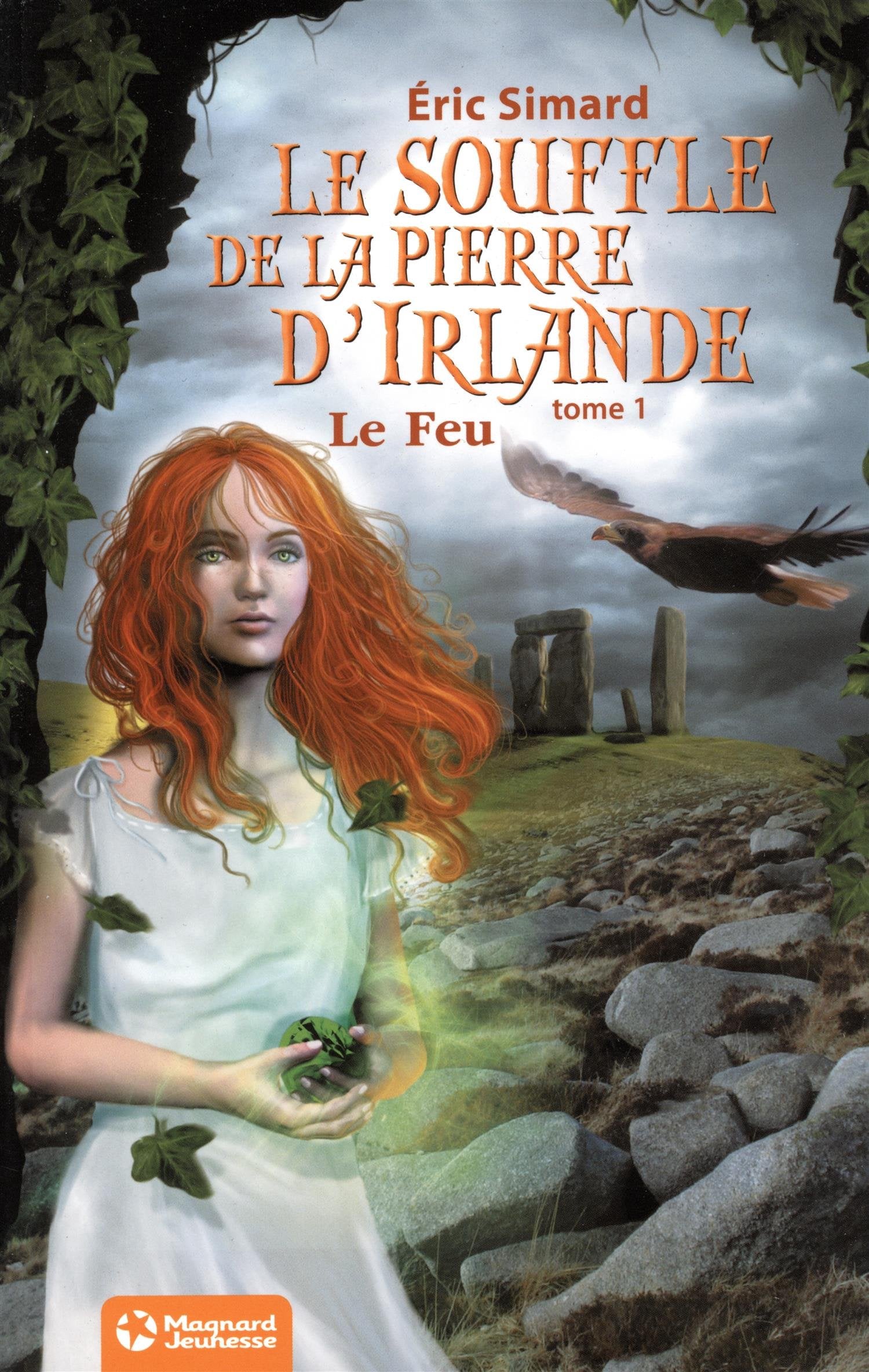 Le Souffle de la Pierre d'Irlande (1 ) - Le Feu: Édition 2012 9782210969322