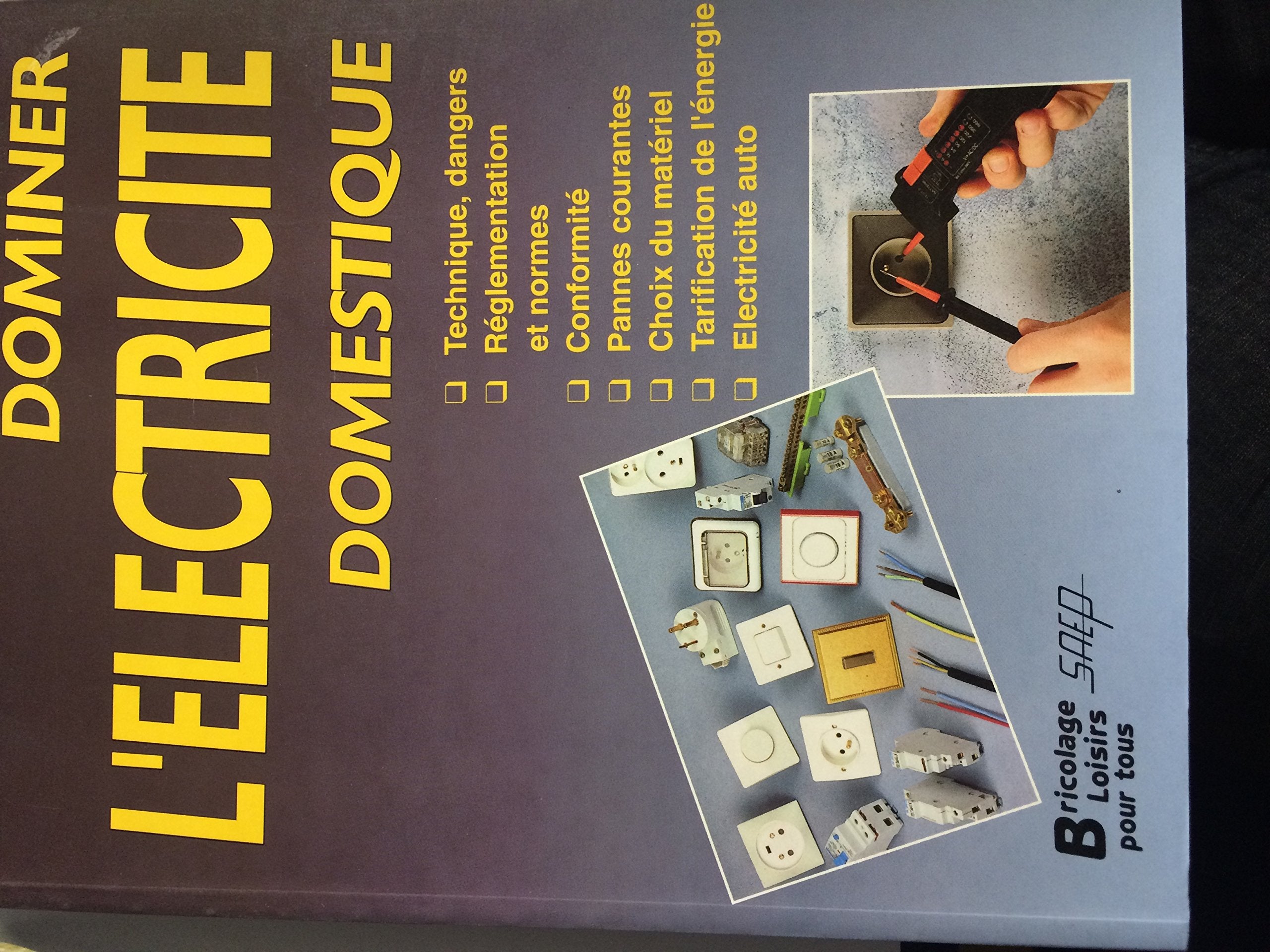 Dominer l'électricité domestique 9782737240195