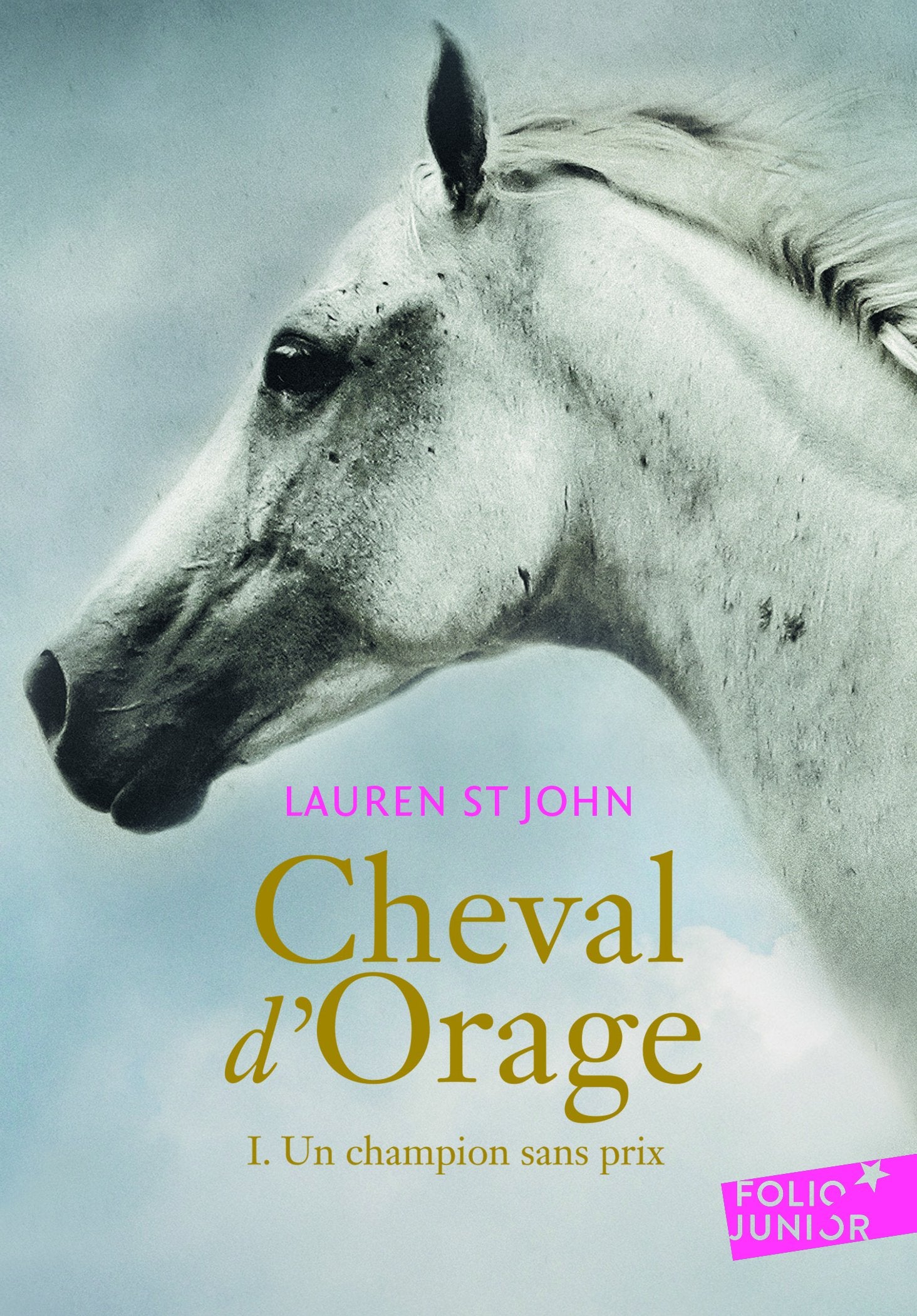 CHEVAL D'ORAGE T1 9782070650361