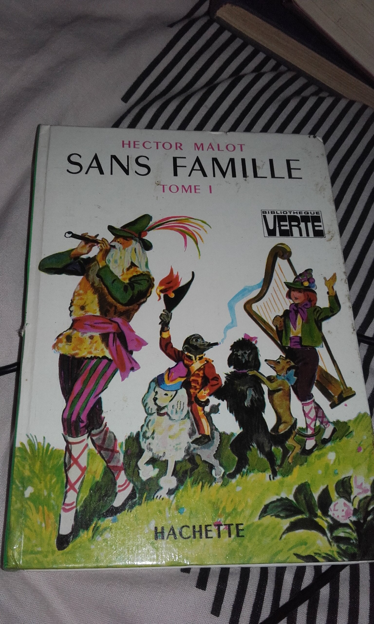 Sans famille : Tome 1 seul : Collection : Bibliothèque verte cartonnée & illustrée 9782010052897