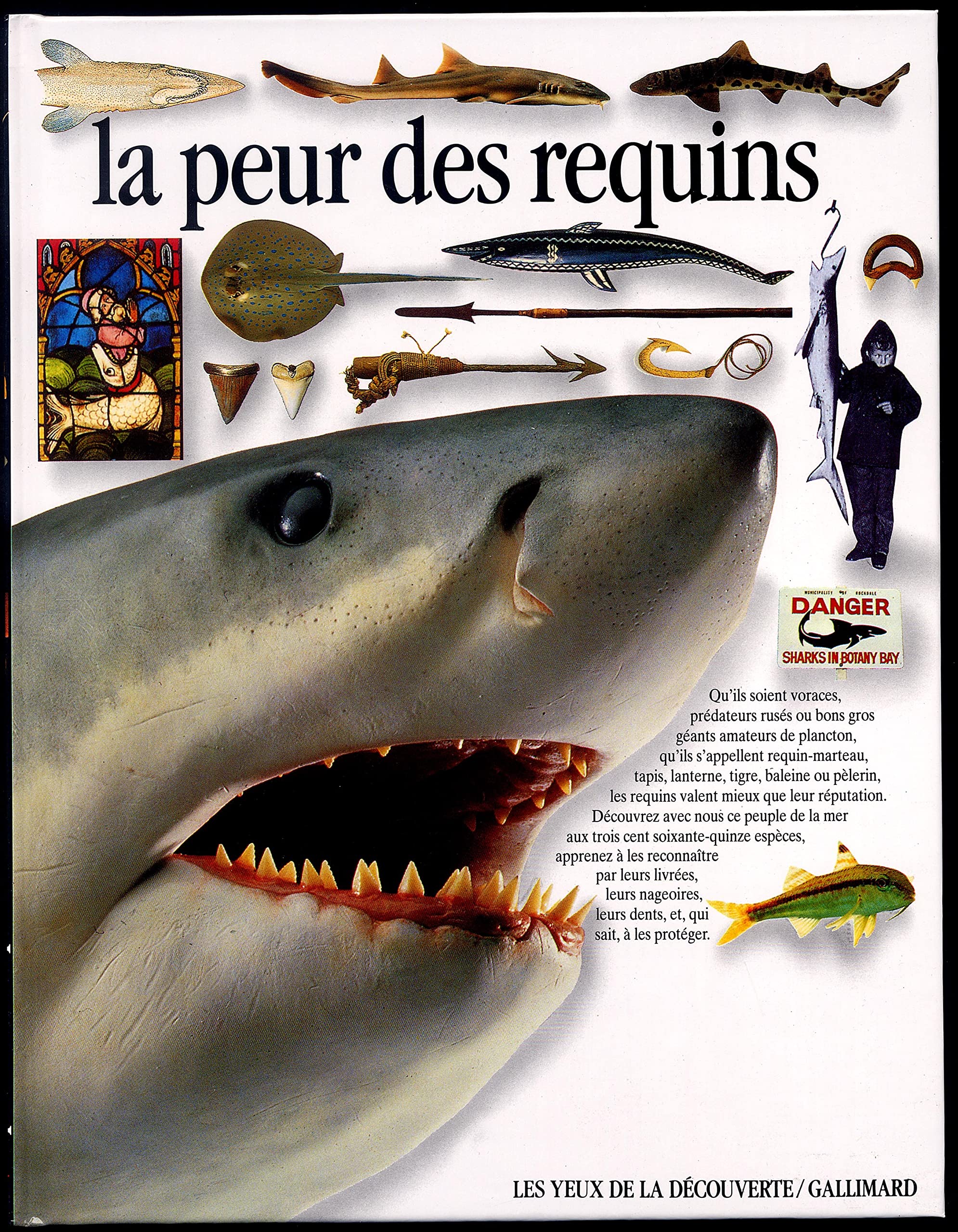 La Peur des requins 9782070567591