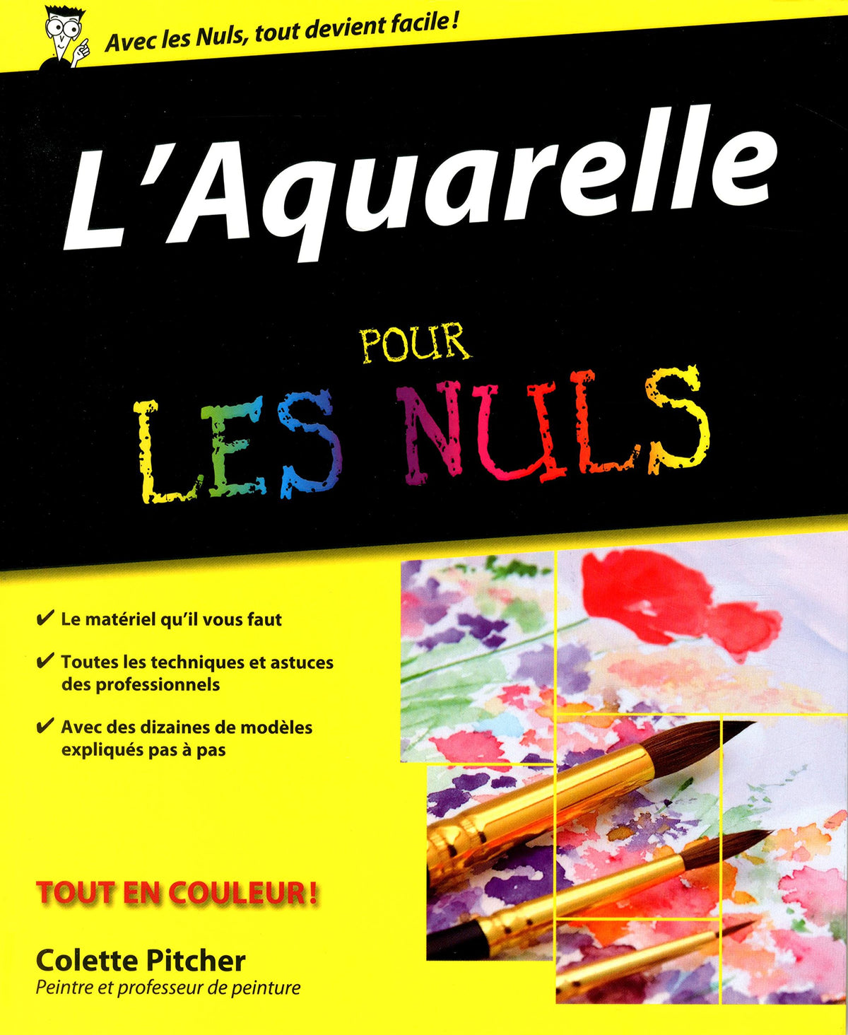 L'Aquarelle pour les Nuls 9782754009348