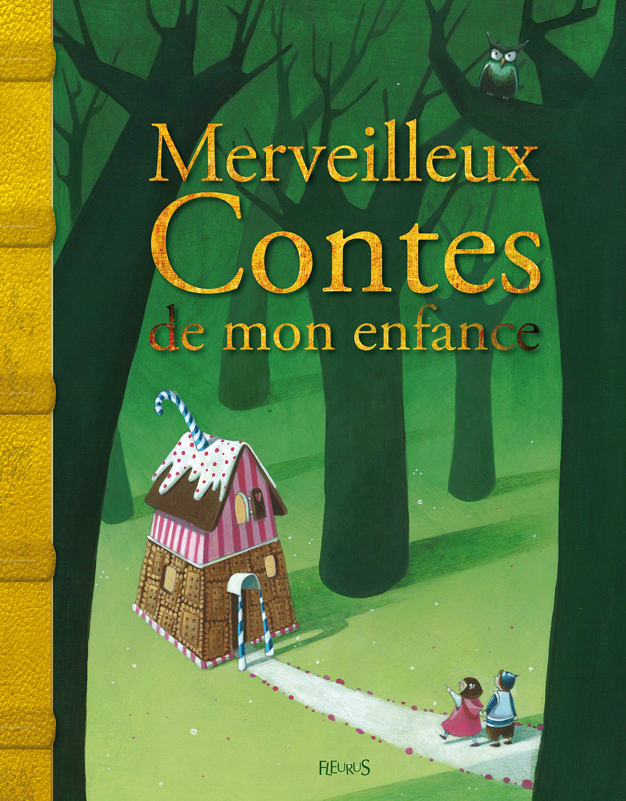 Merveilleux contes de mon enfance 9782215049586