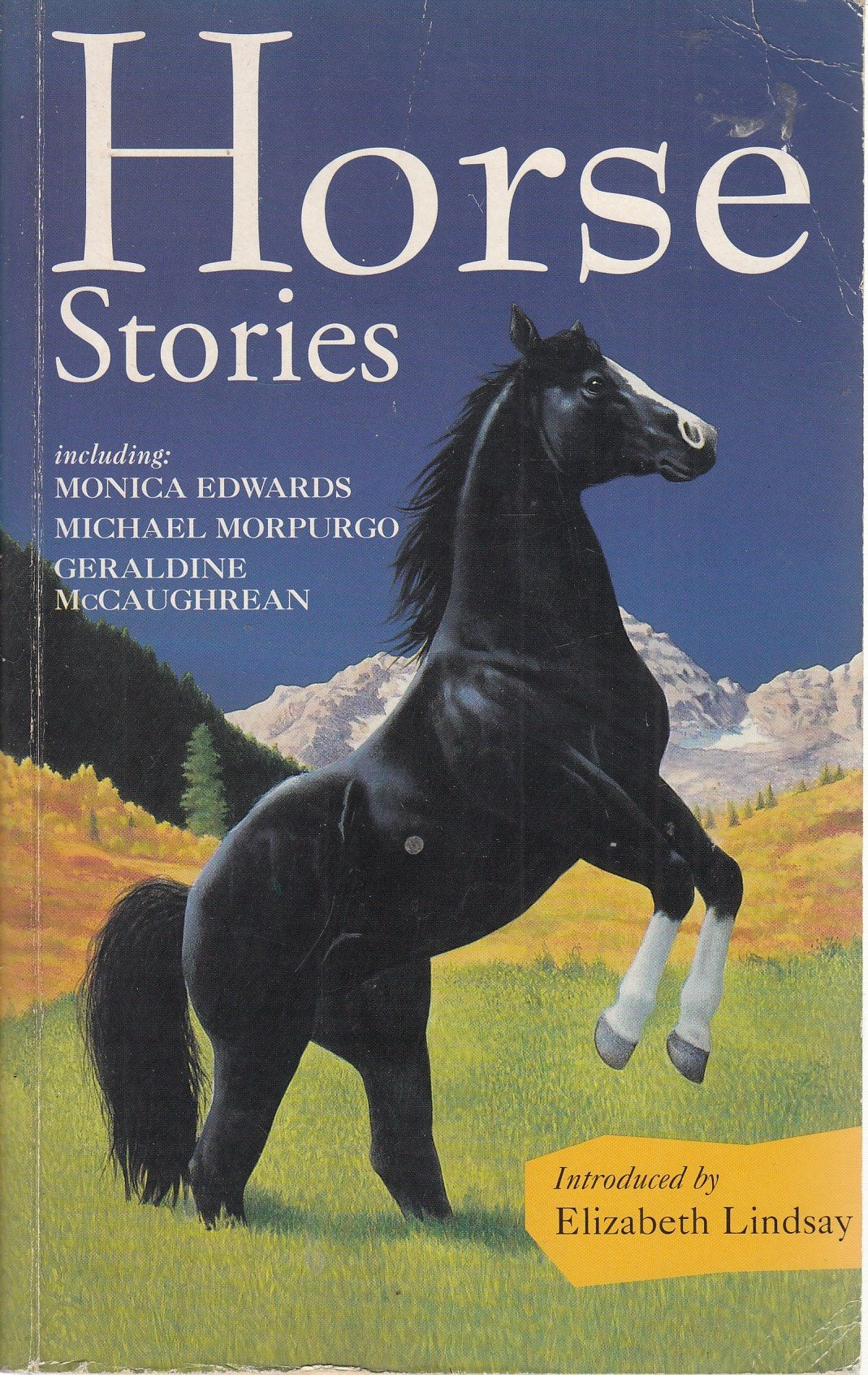 Horse Stories 9781854877055