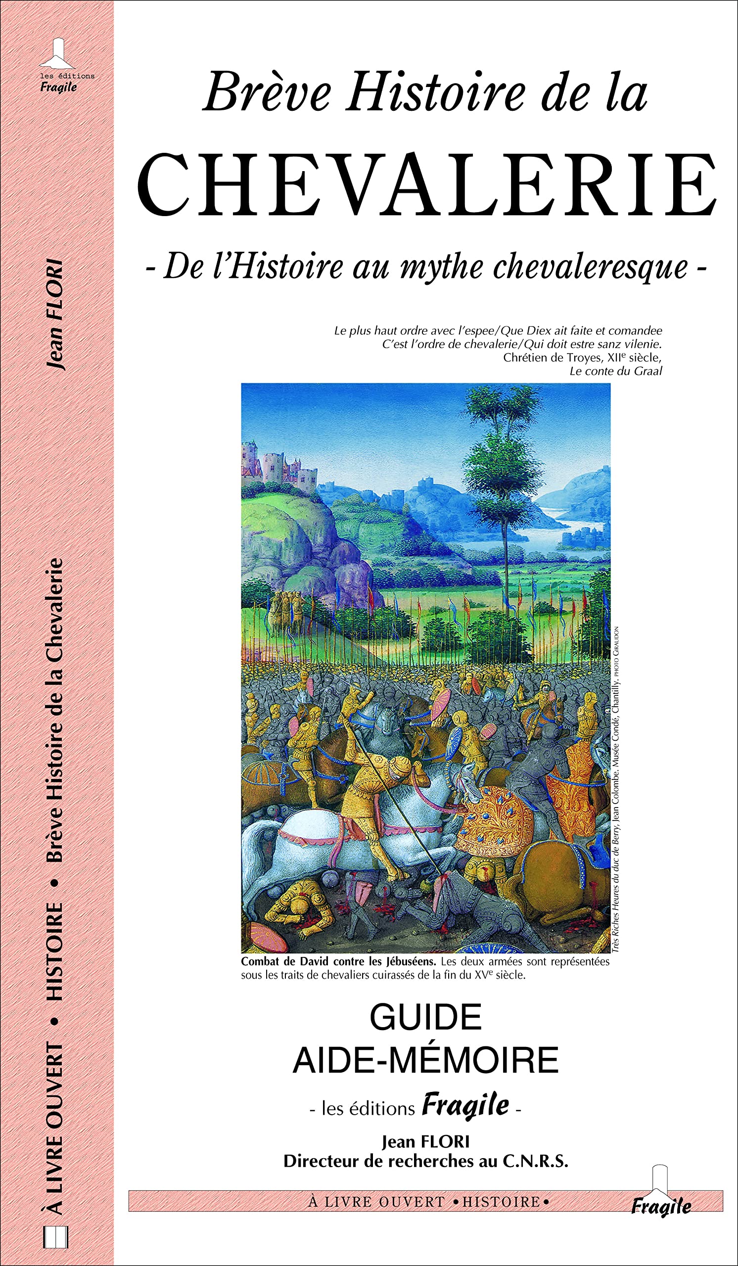 Brève histoire de la chevalerie 9782910685256