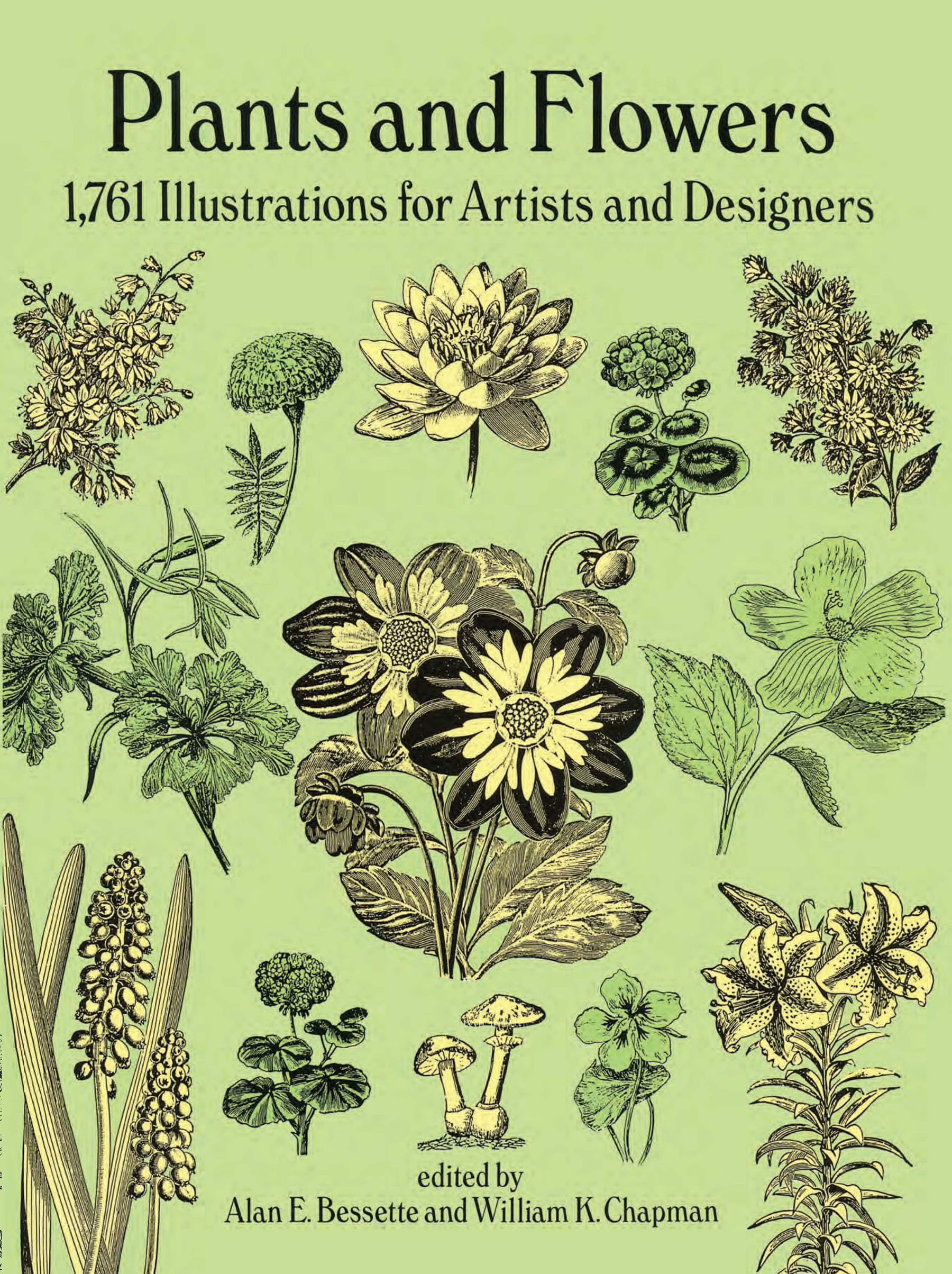 Plants and Flowers: 1,761 Illustrations for Artists and Designers 9780486269573